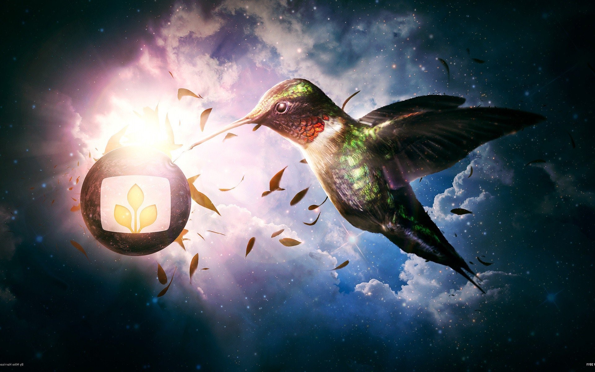 artist, heaven, digital universe, hd, birds, HD Wallpaper