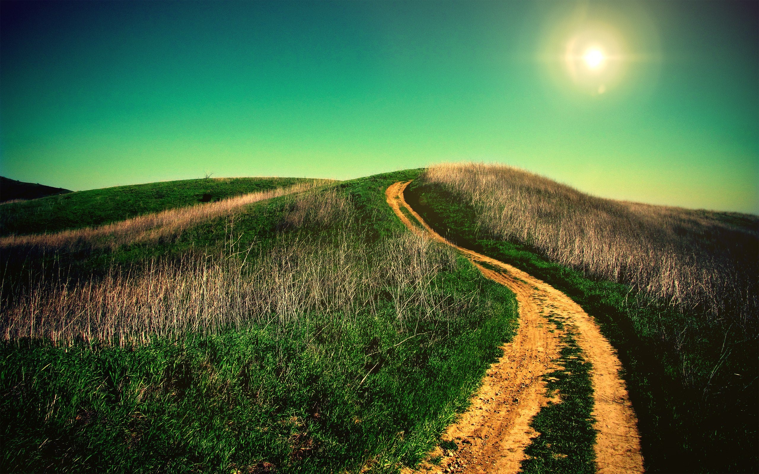 road, nature, hd, HD Wallpaper