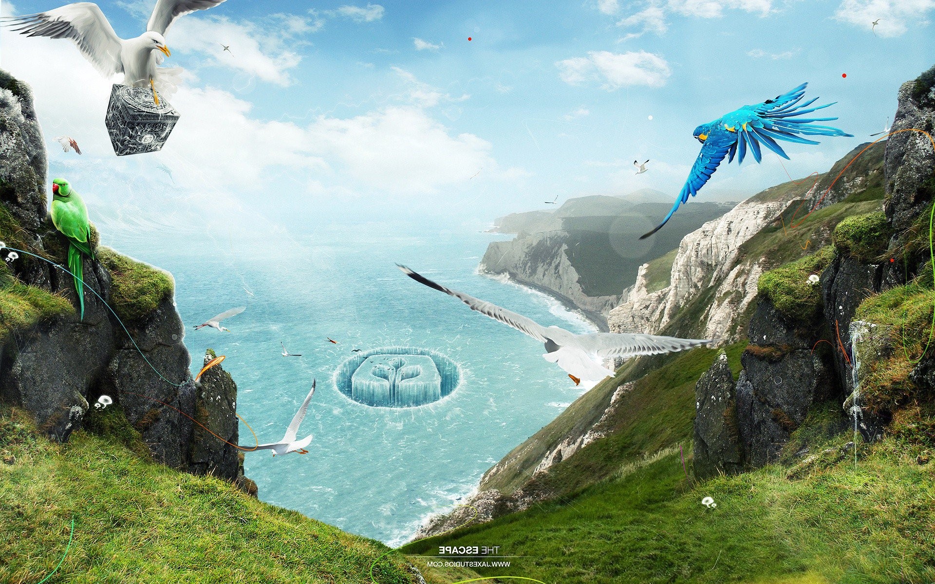 birds, hd, flying, dreamy, fantasy, HD Wallpaper