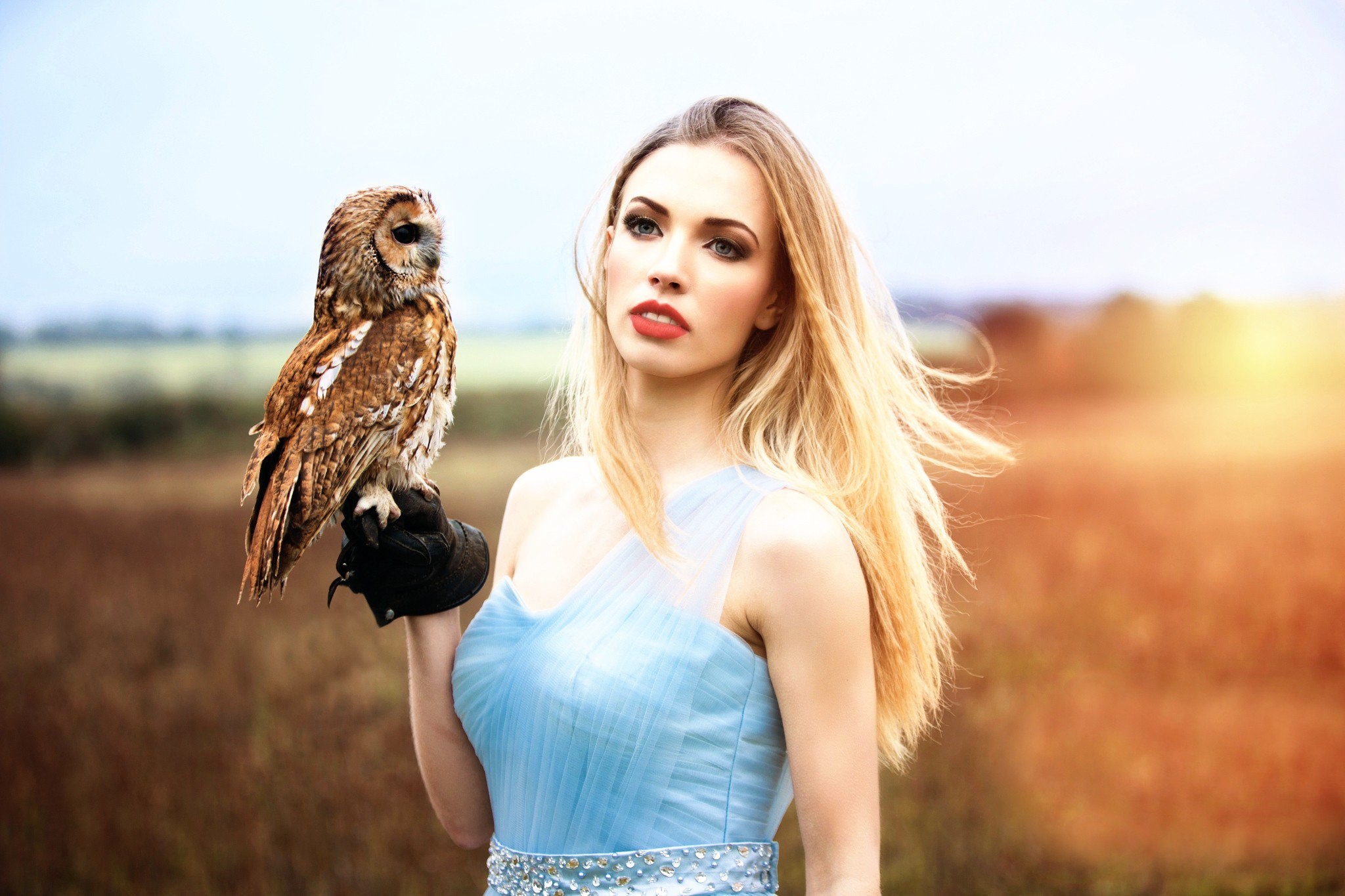 owl, predator, birds, girls, HD Wallpaper