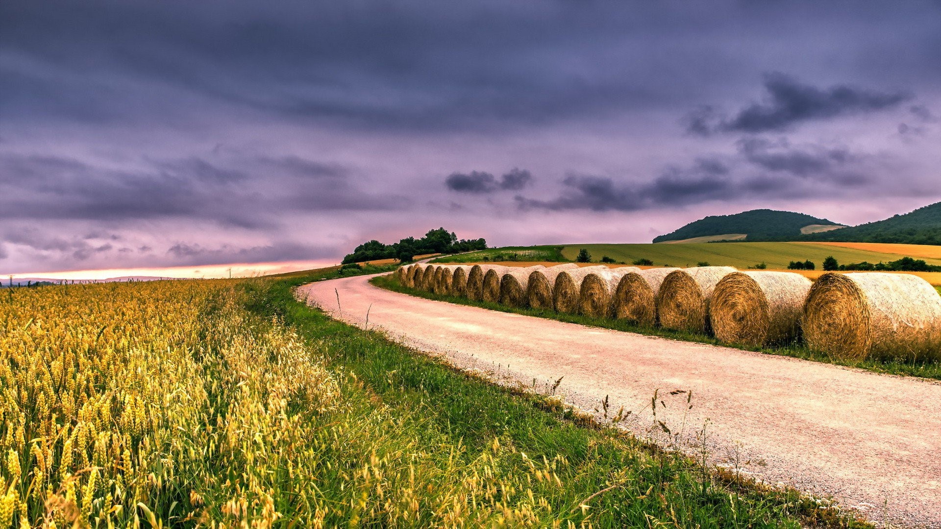 earth, field, nature, HD Wallpaper