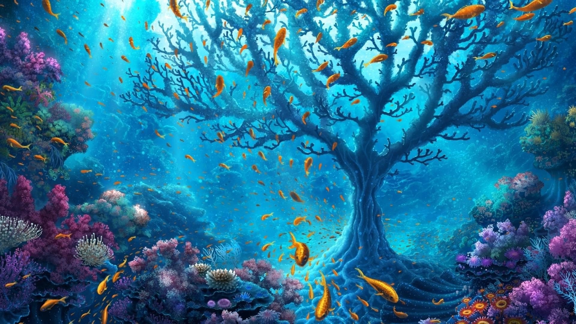 underwater, world, nature, fish, HD Wallpaper