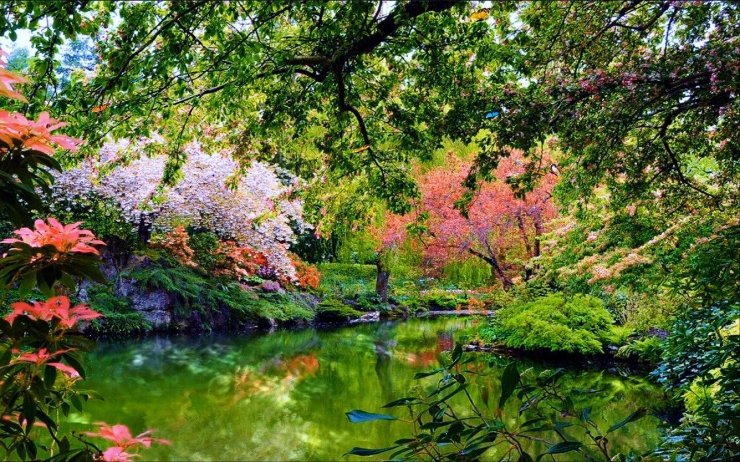 nature, beautiful, garden, HD Wallpaper