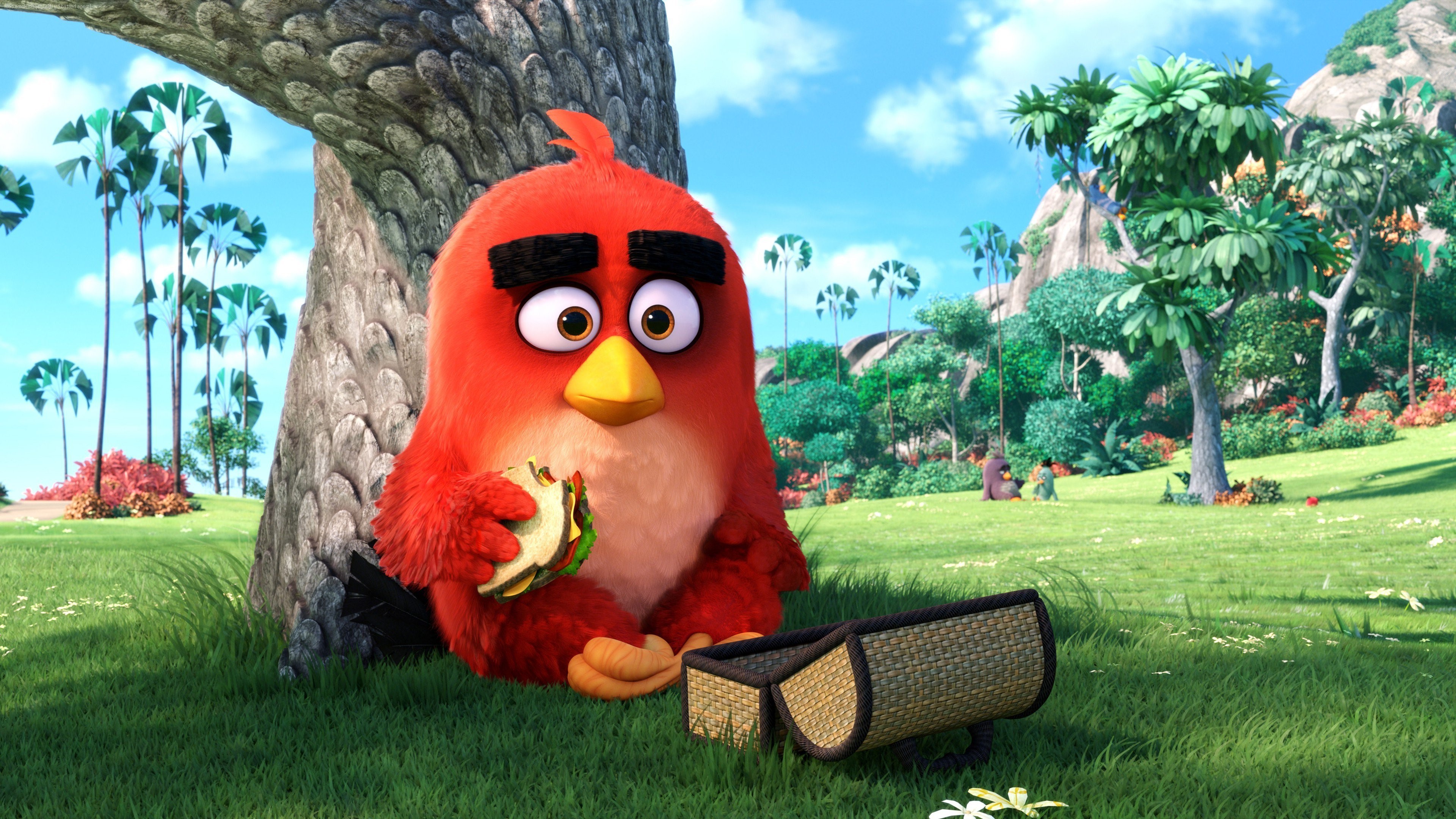 angry birds, birds, movies, animated movies, 2016 movies, red, the angry birds movie, HD Wallpaper