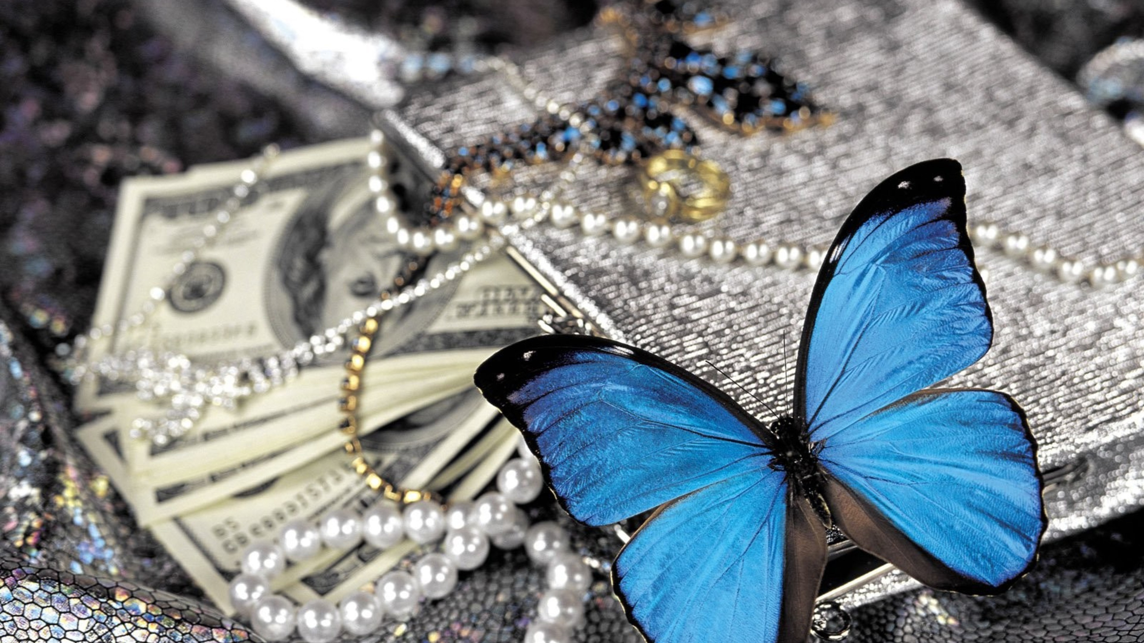 pearls, blue, butterfly, birds, HD Wallpaper