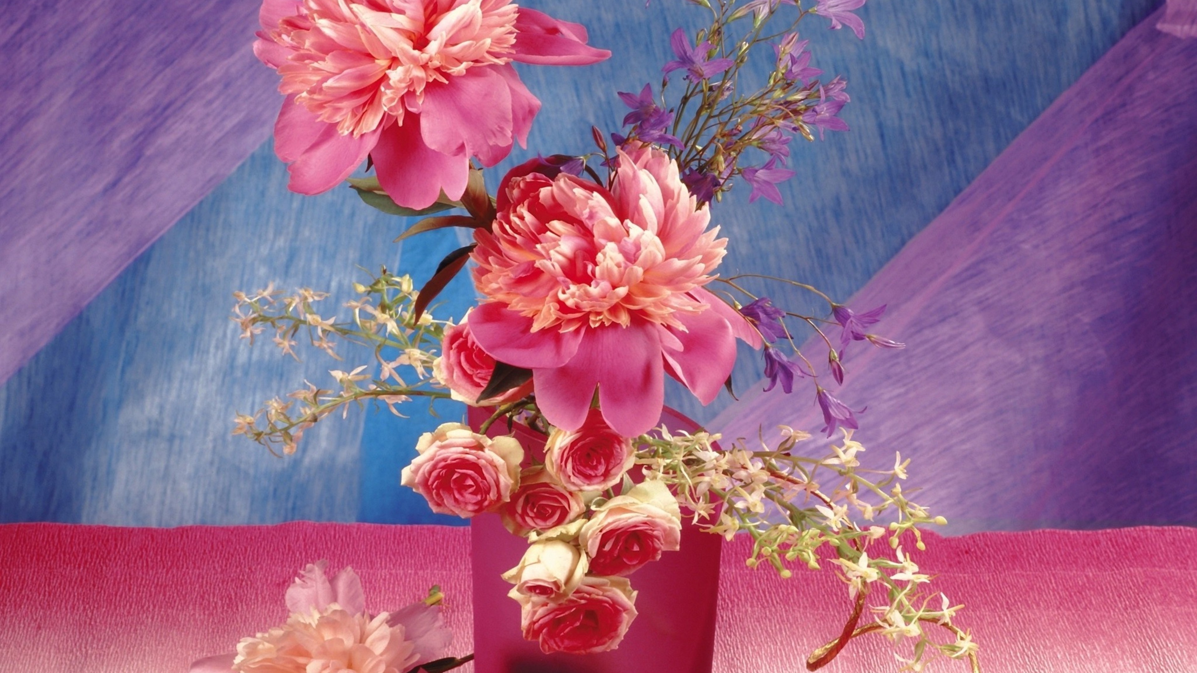 colorful, flowers, HD Wallpaper