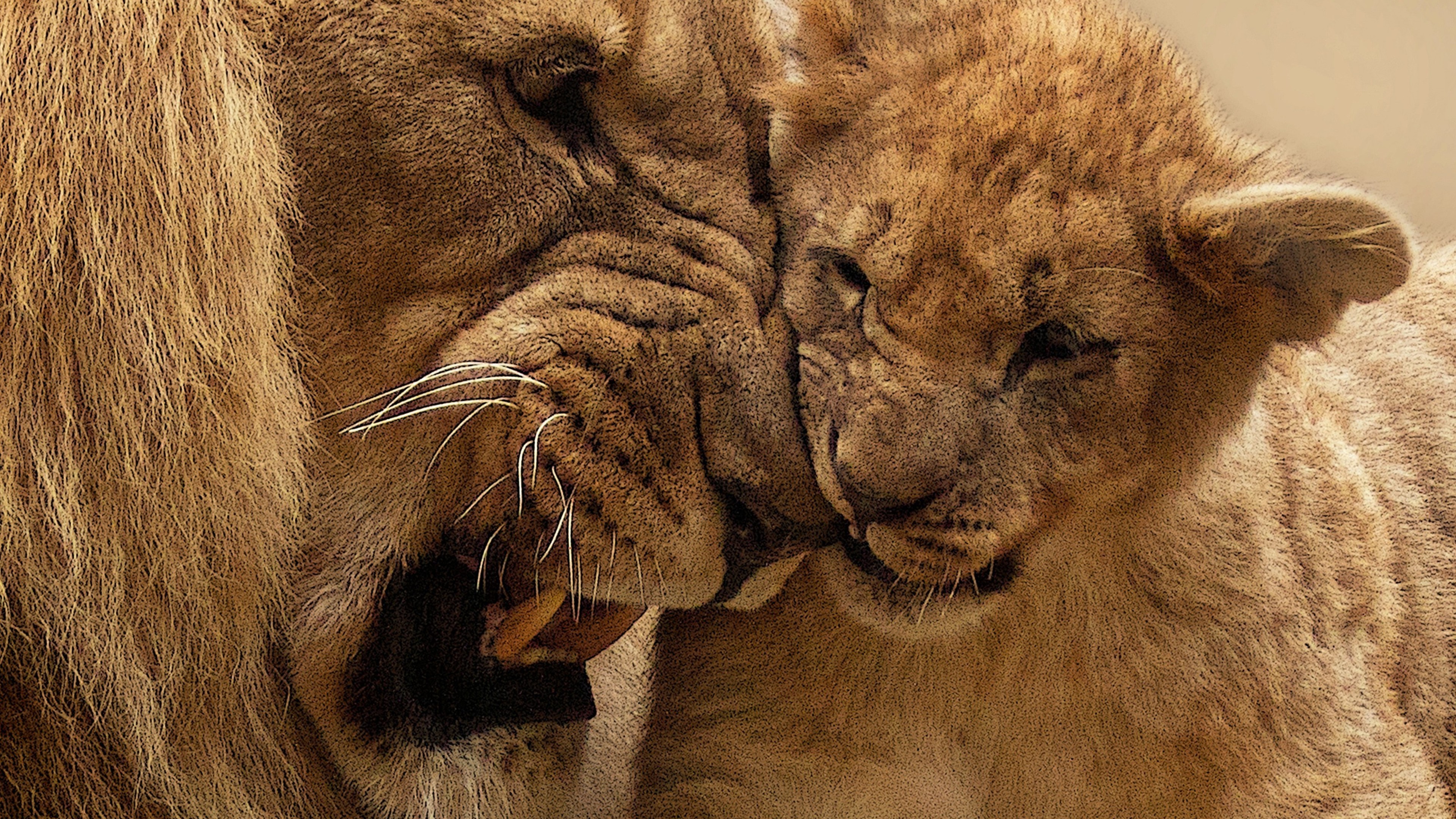 animals, mother, lion, cub, HD Wallpaper