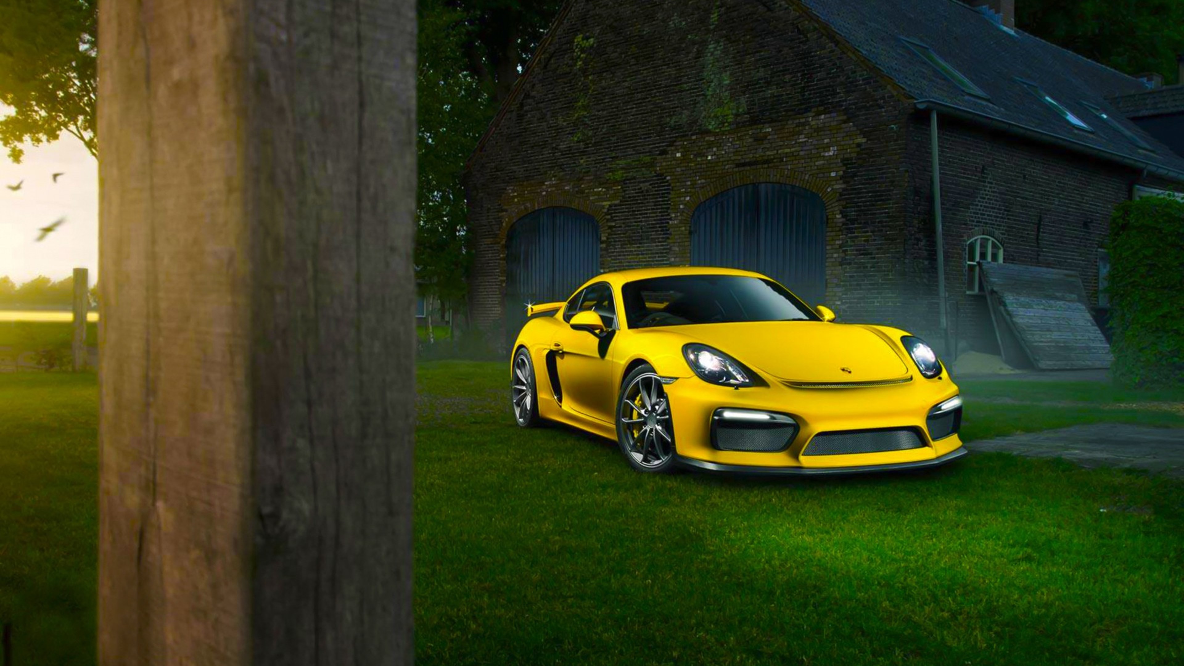 porsche, porsche cayman, cars, HD Wallpaper