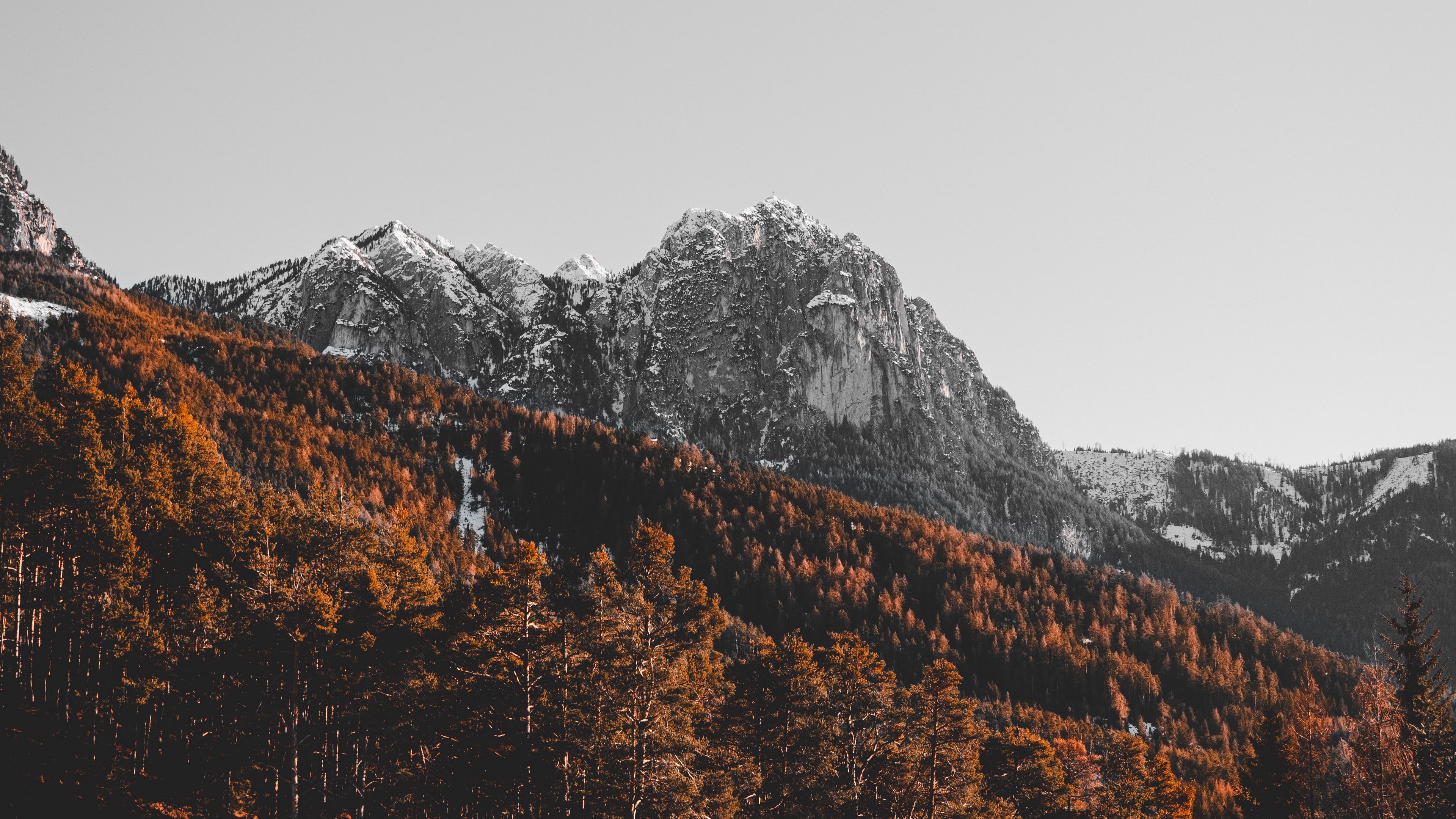 mountain, peak, trees, snow, landscape, 4k, HD Wallpaper