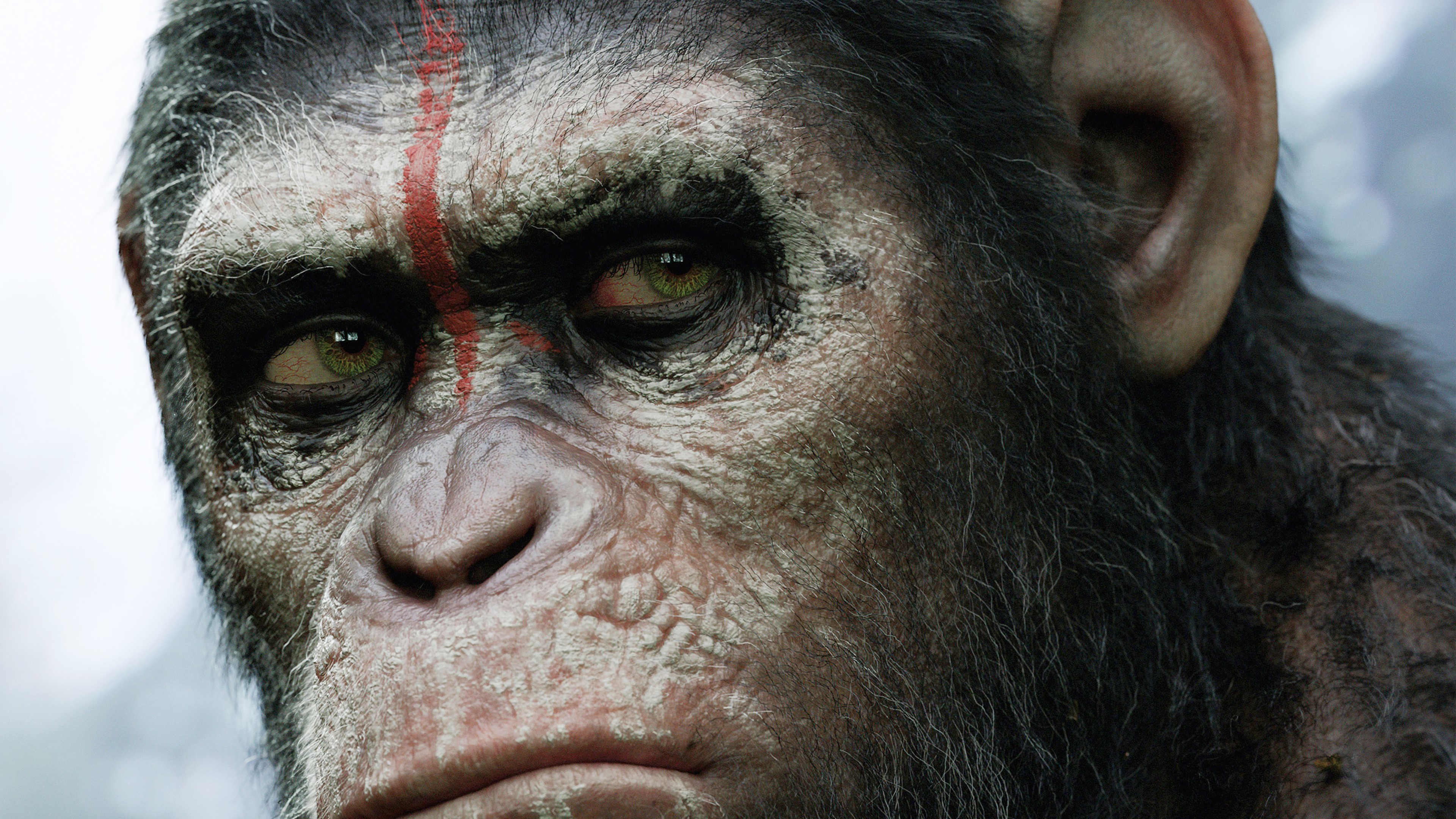 movies, monkey, HD Wallpaper