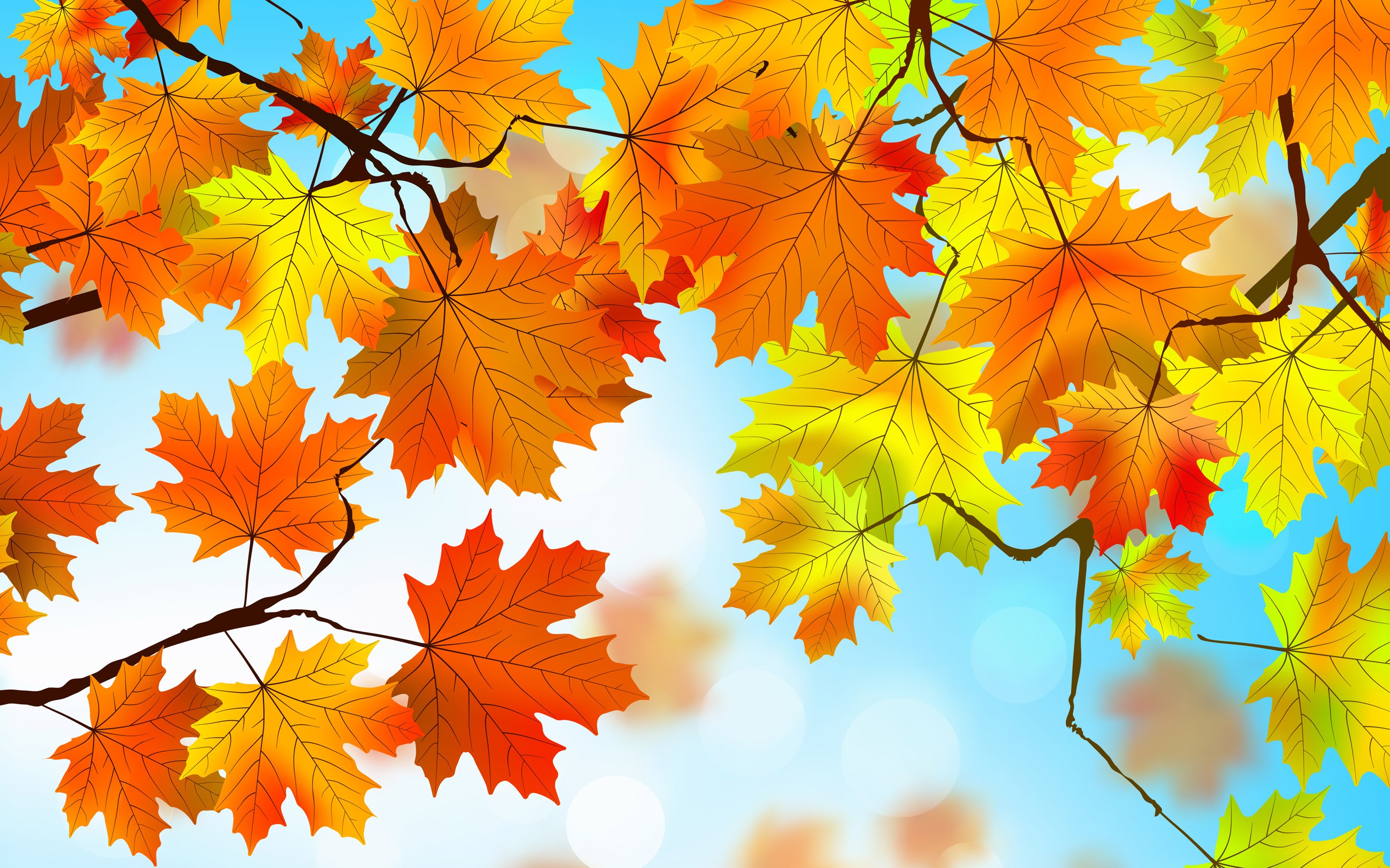 autumn, leaves, nature, HD Wallpaper