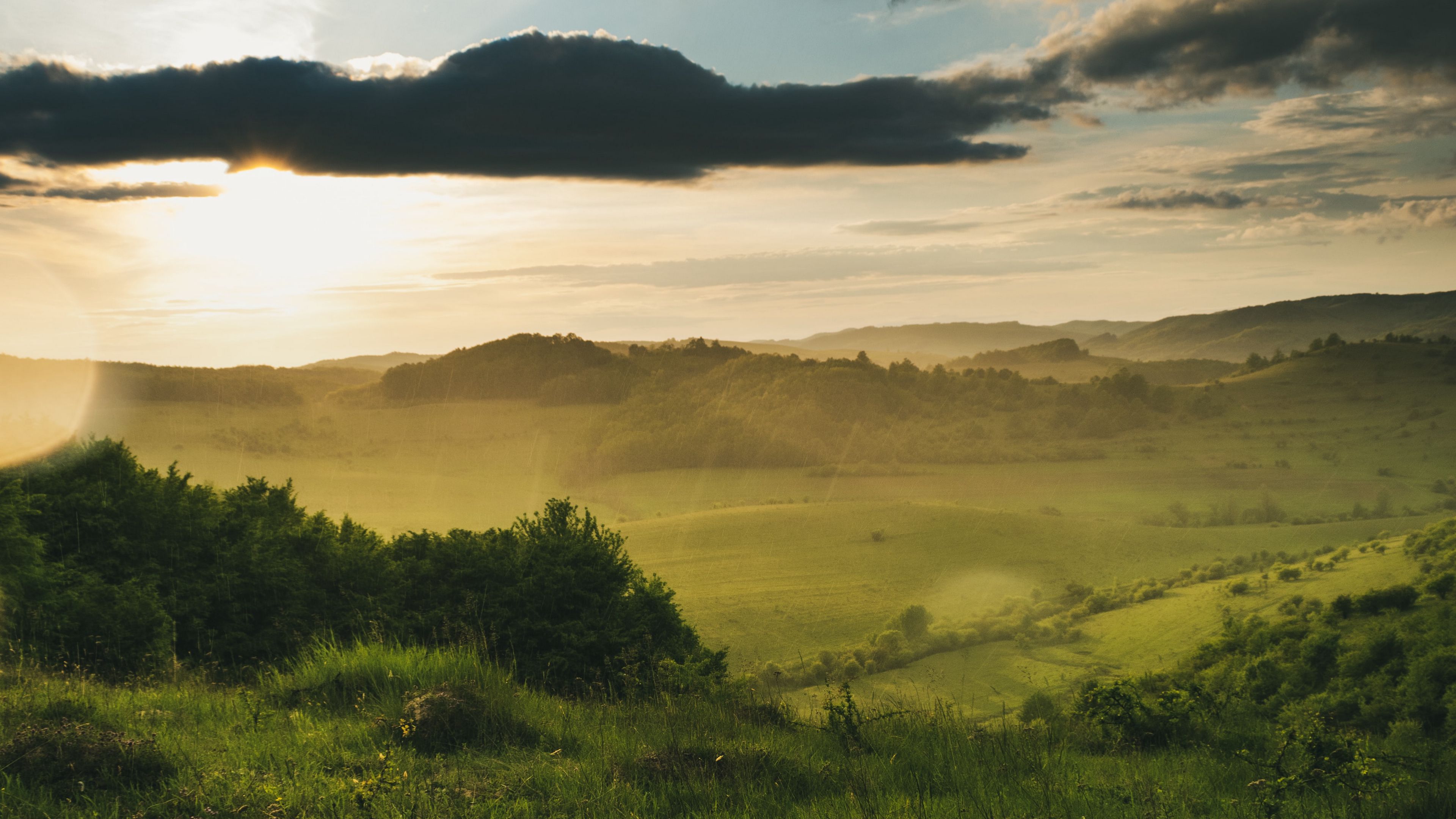 field, bushes, rays, clouds, shine, 4k, HD Wallpaper