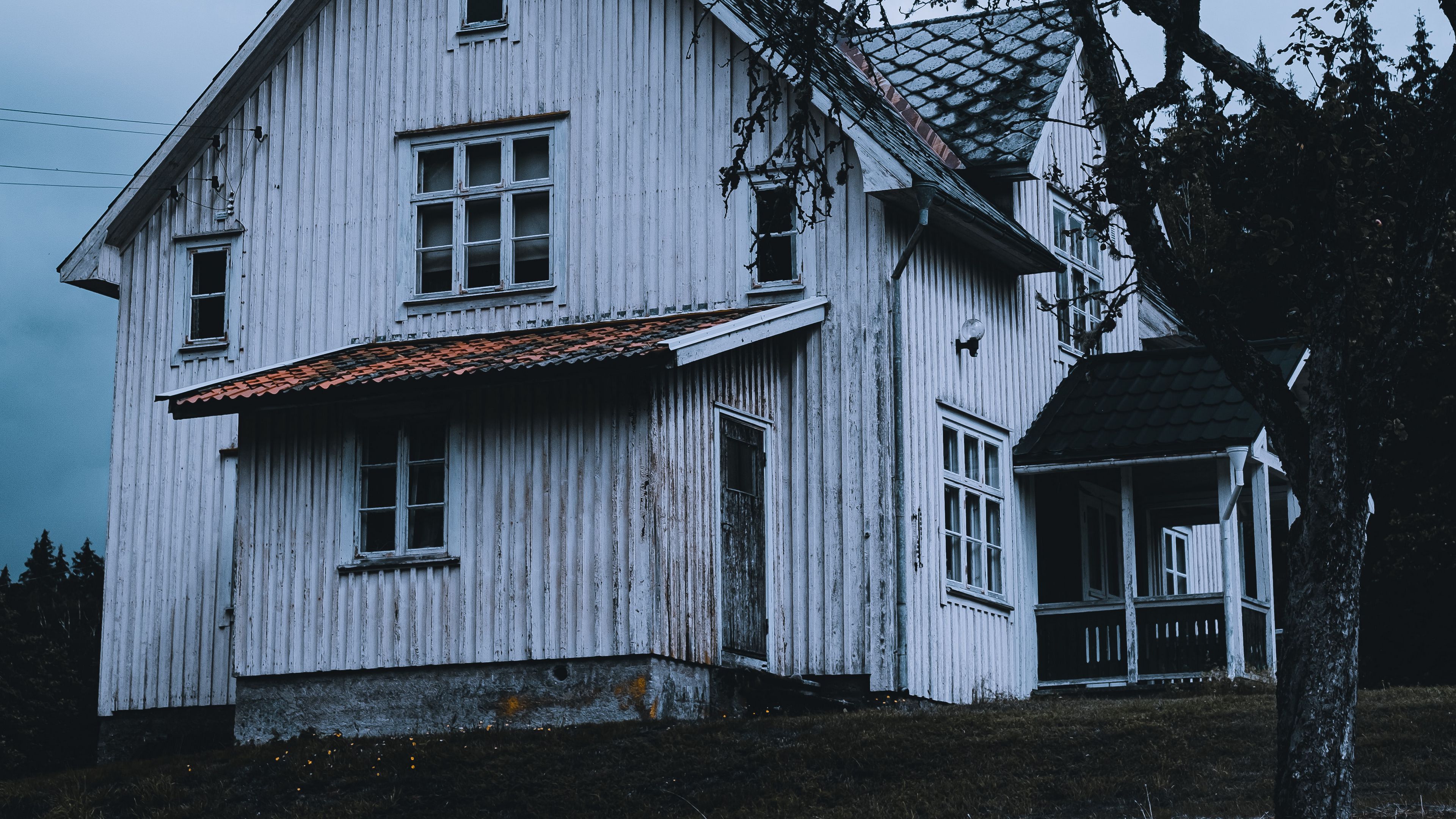 house, white, wooden, tree, yard, 4k, HD Wallpaper