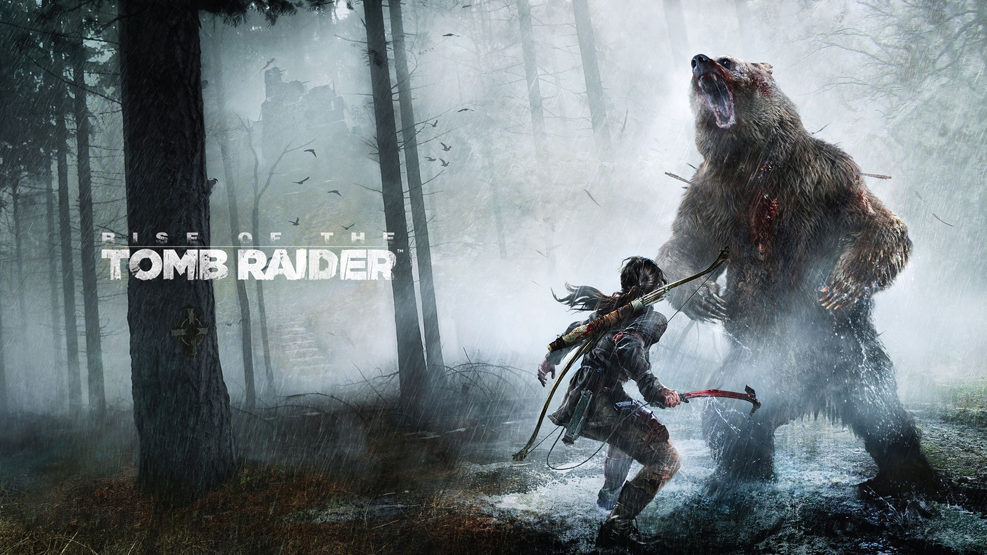 tomb raider, games, xbox games, ps games, pc games, HD Wallpaper