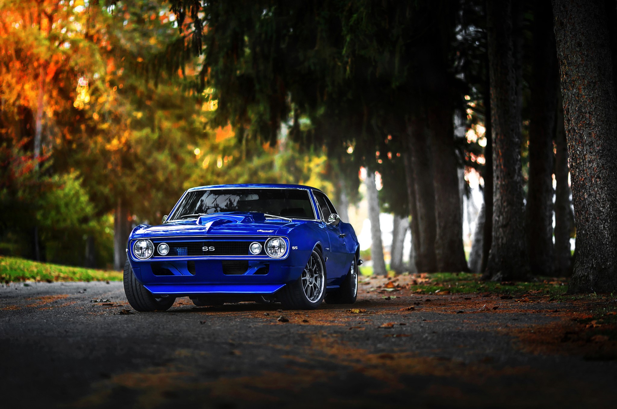 chevrolet, camaro, cars, racing, new, 2016, blue, HD Wallpaper