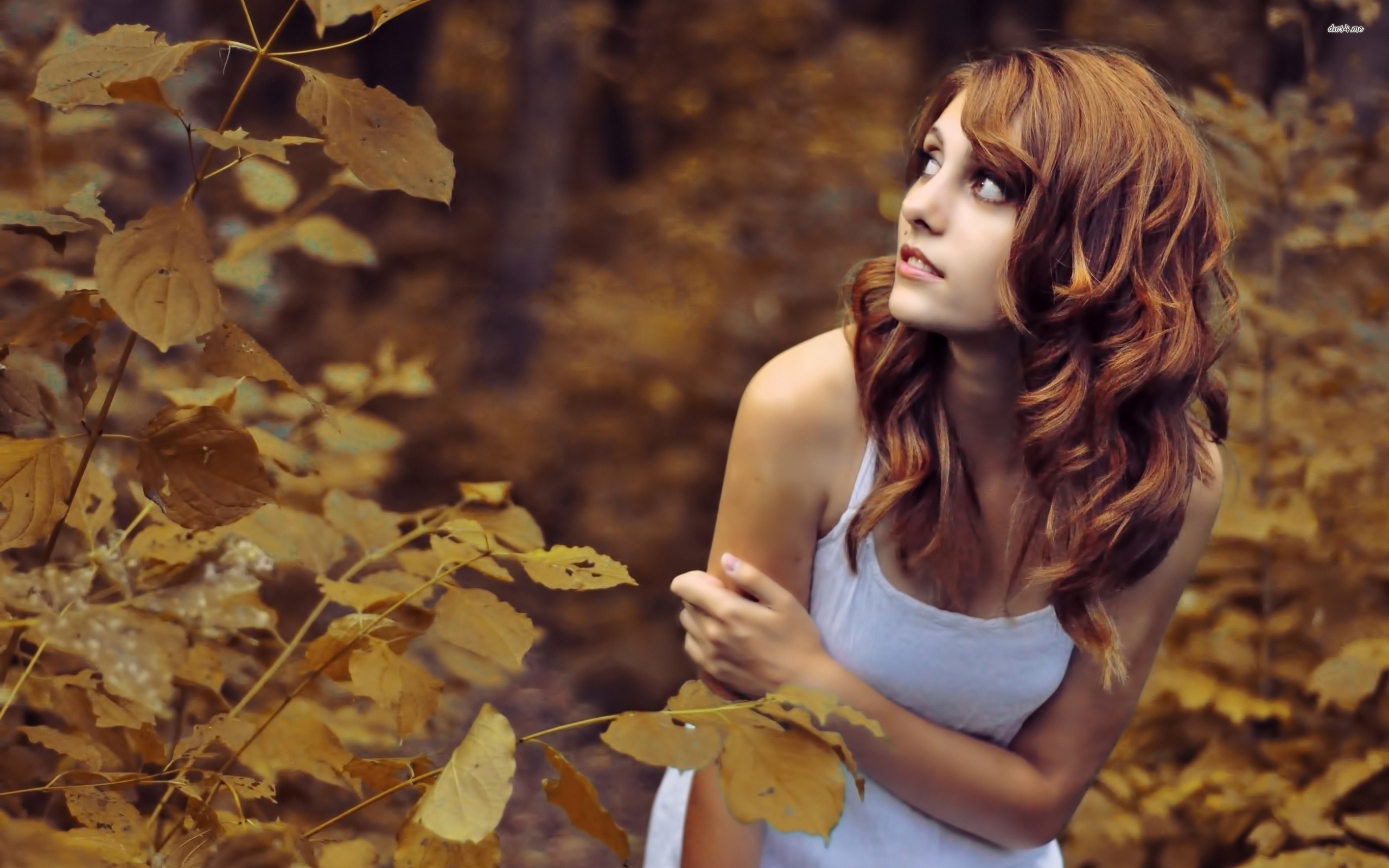 model, girls, brunette, HD Wallpaper