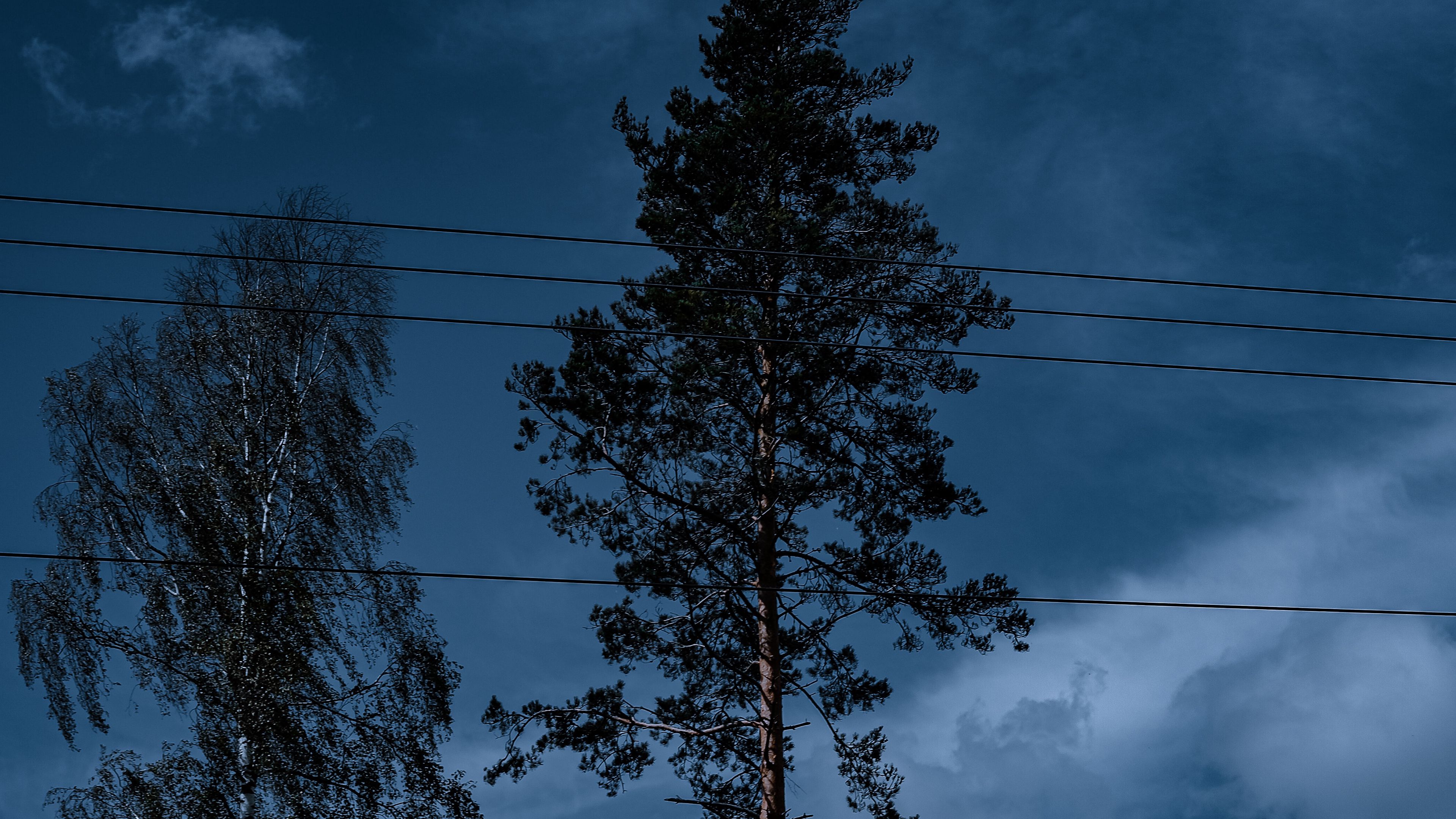 trees, wires, clouds, sky, 4k, HD Wallpaper