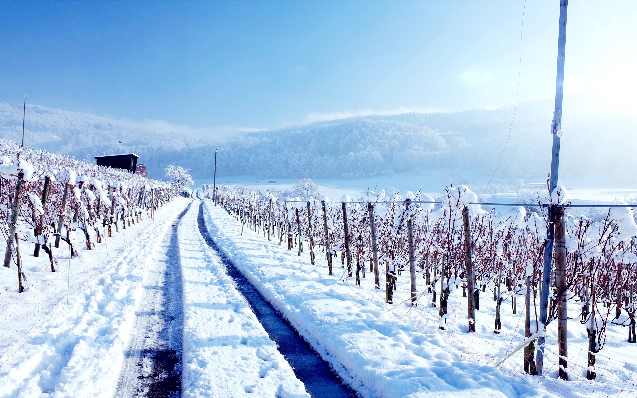 winter, land, nature, snow, HD Wallpaper