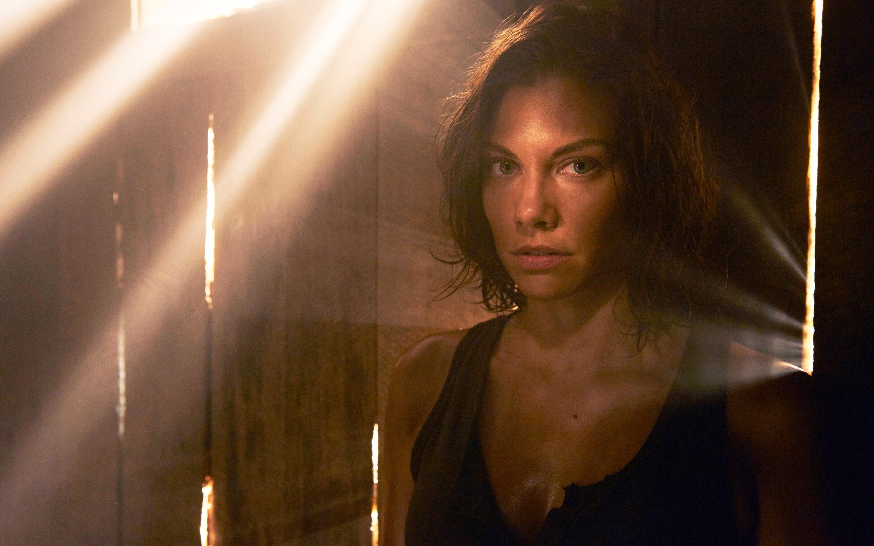 the walking dead, tv shows, HD Wallpaper