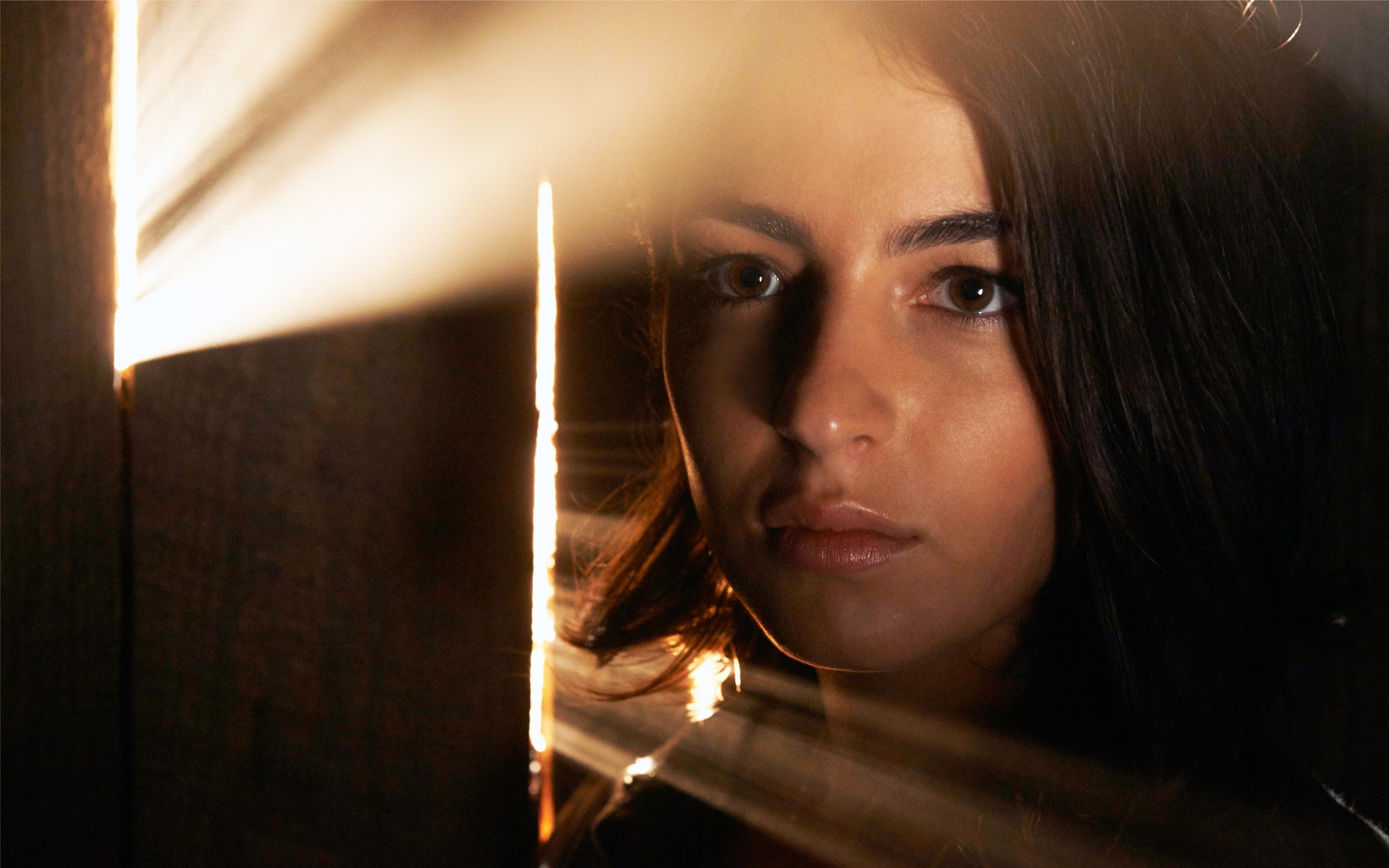the walking dead, tv shows, HD Wallpaper
