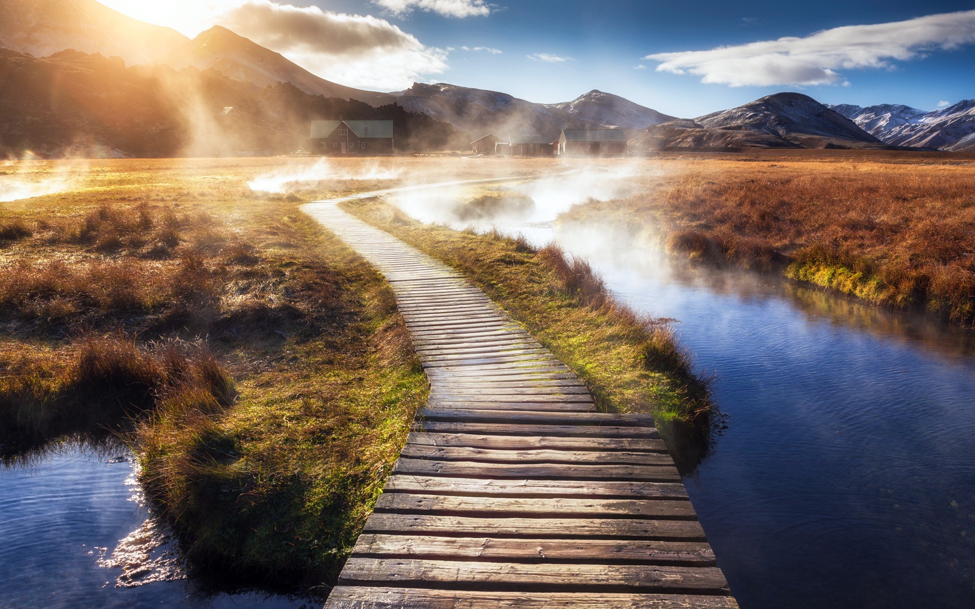nature, wood, HD Wallpaper