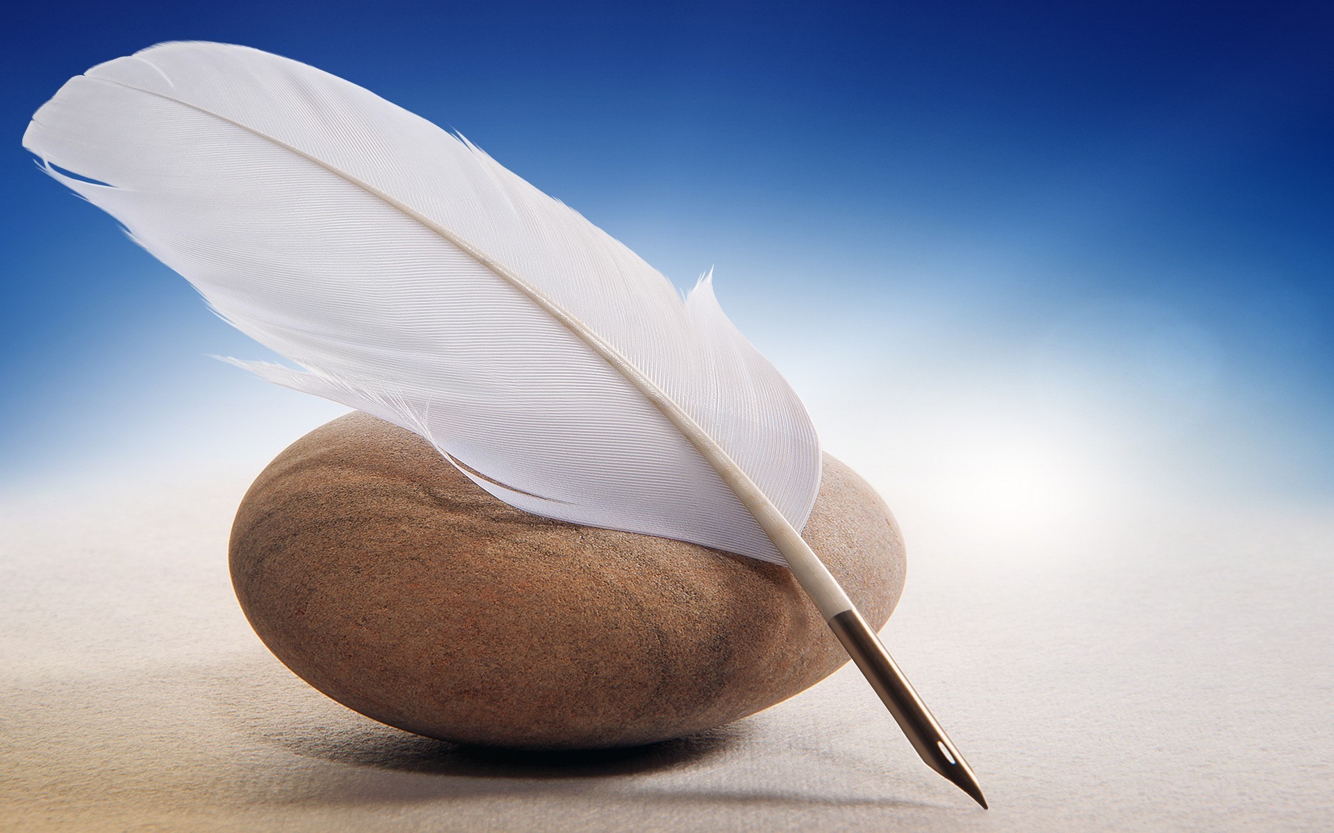 feather, pen, nature, HD Wallpaper