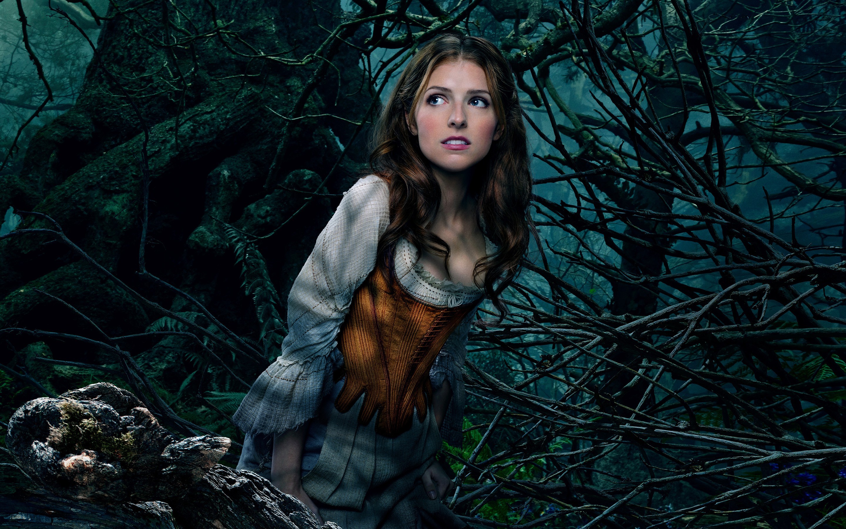 cinderella, movies, ana kendrick, celebrities, HD Wallpaper