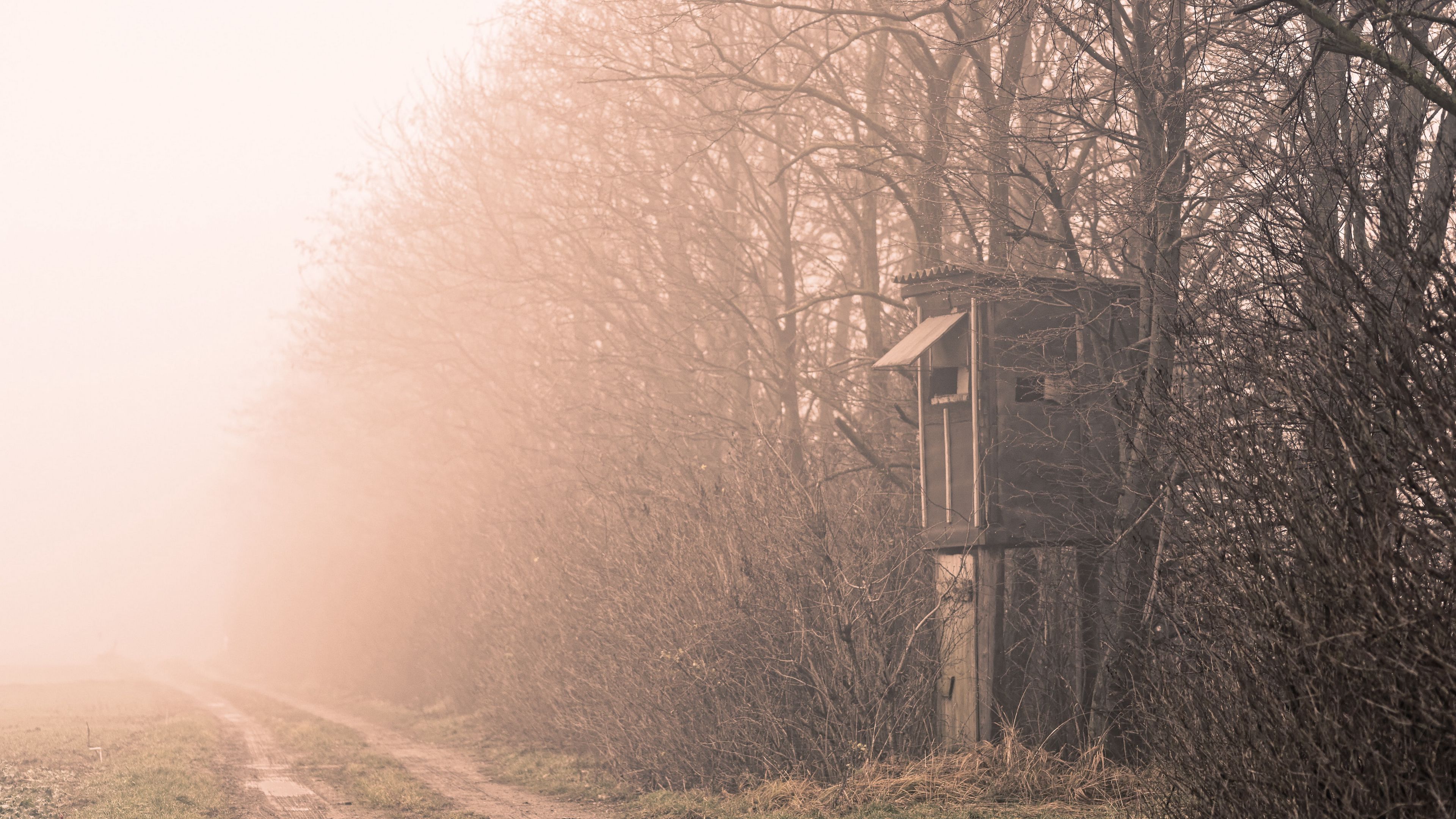 shack, trees, fog, nature, 4k, HD Wallpaper