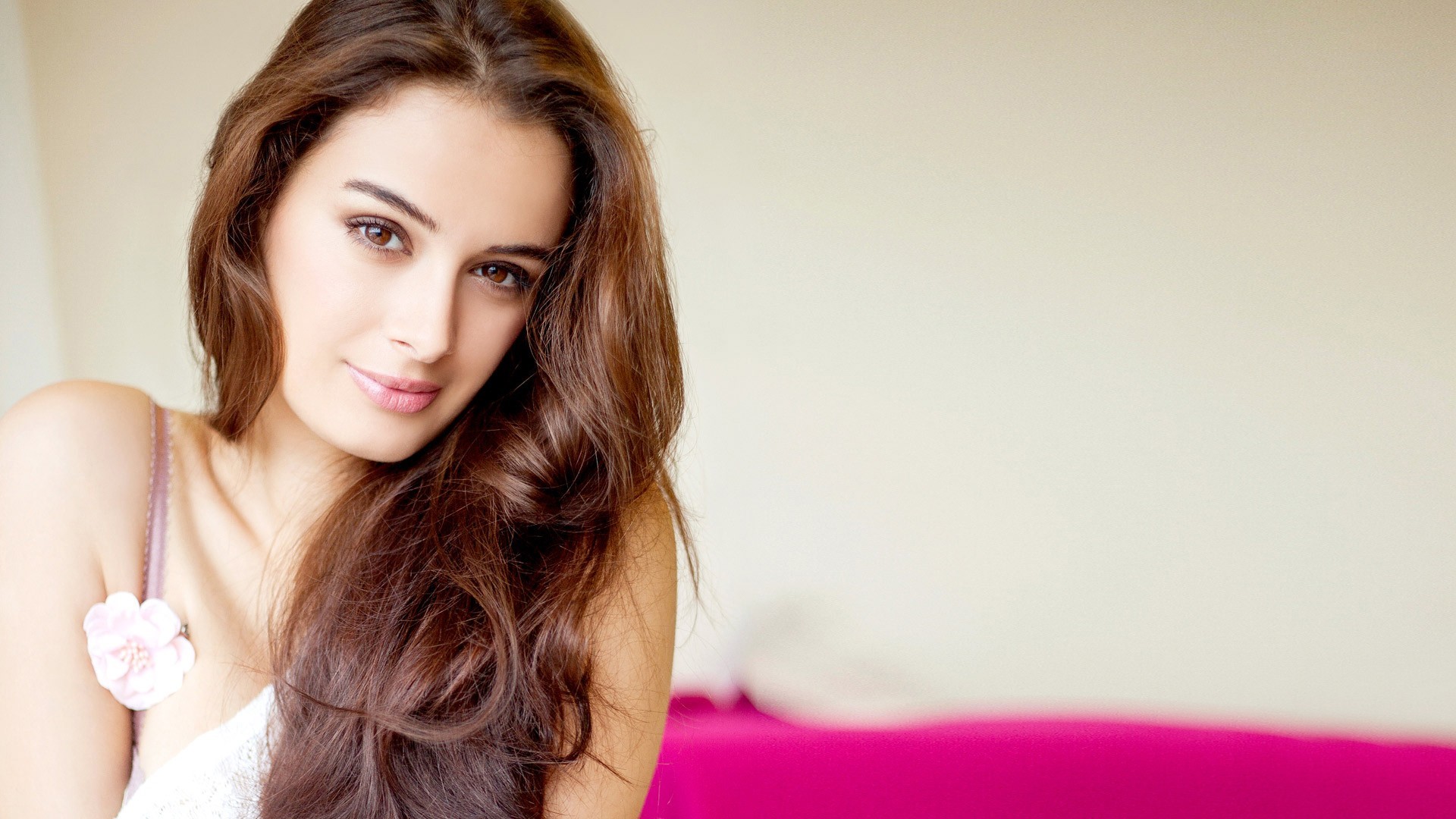 evelyn sharma, indian celebrities, girls, desi girls, HD Wallpaper