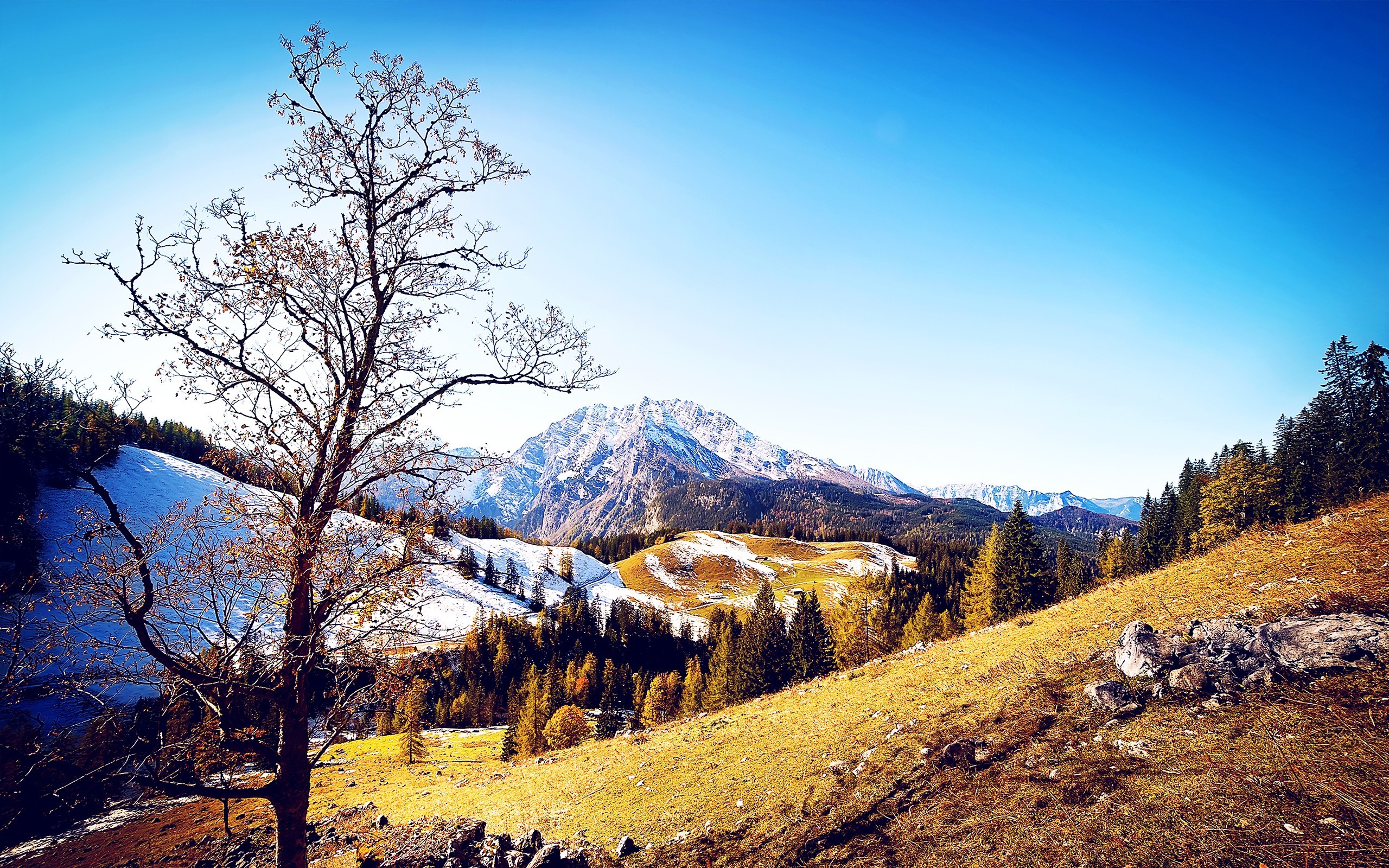 autumn, mountains, nature, HD Wallpaper