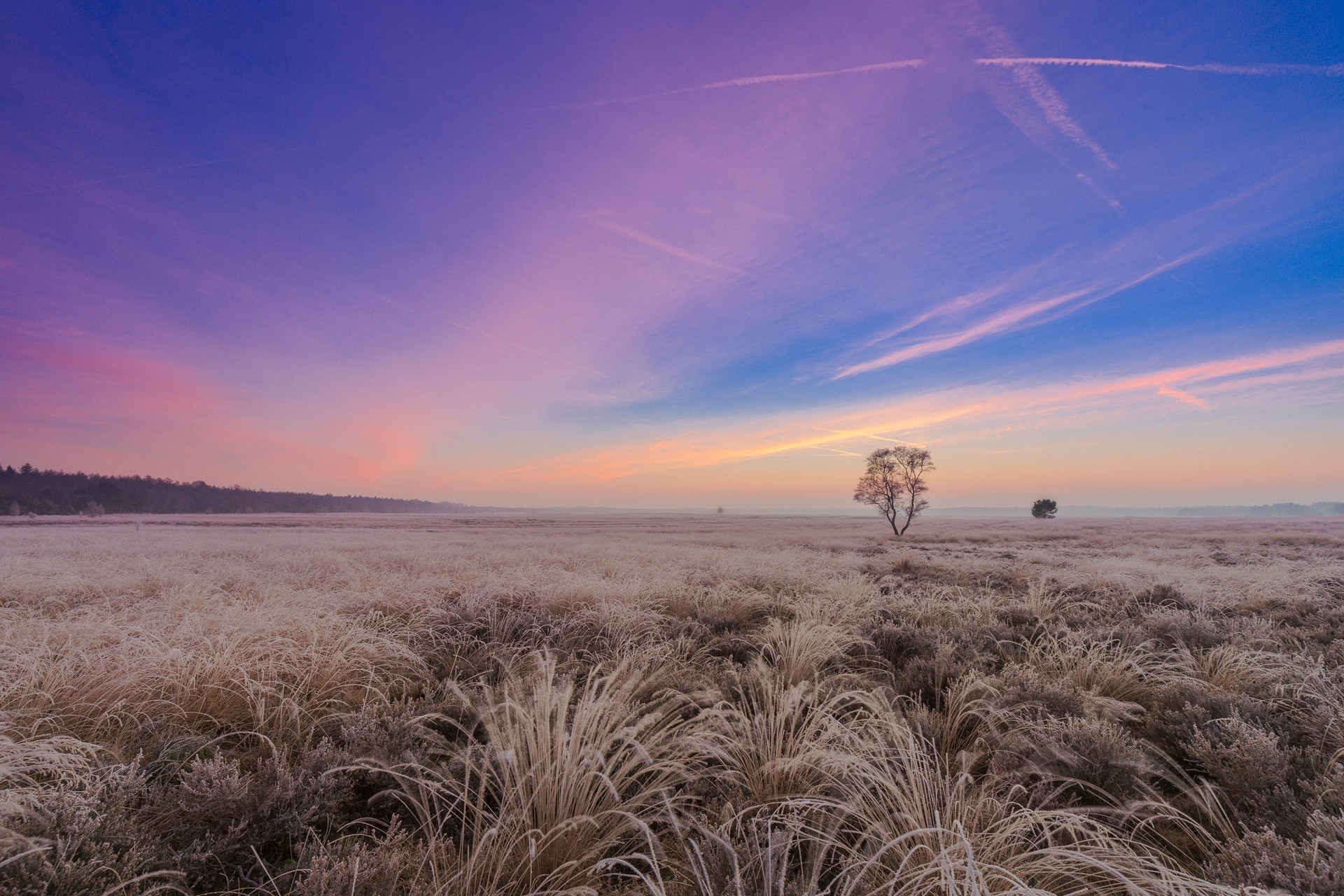 beautiful, landscape, nature, HD Wallpaper