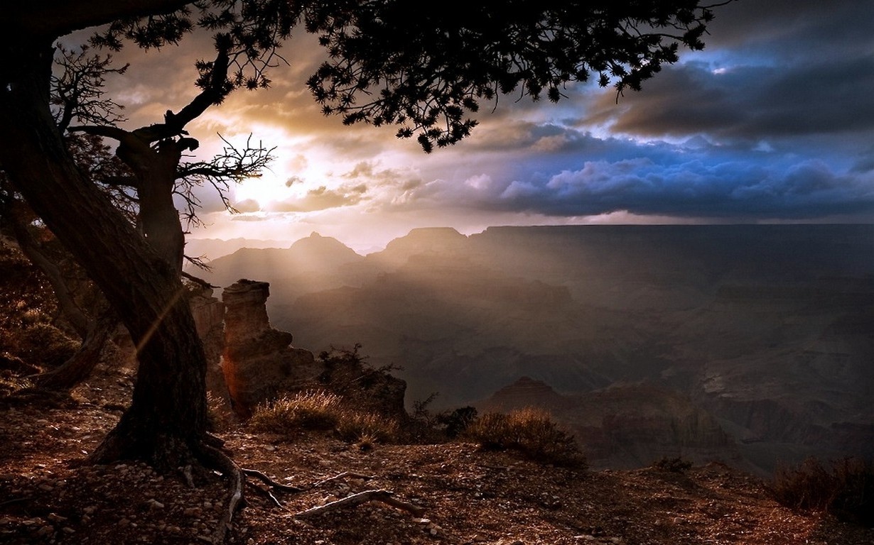 landscape, nature, background, HD Wallpaper