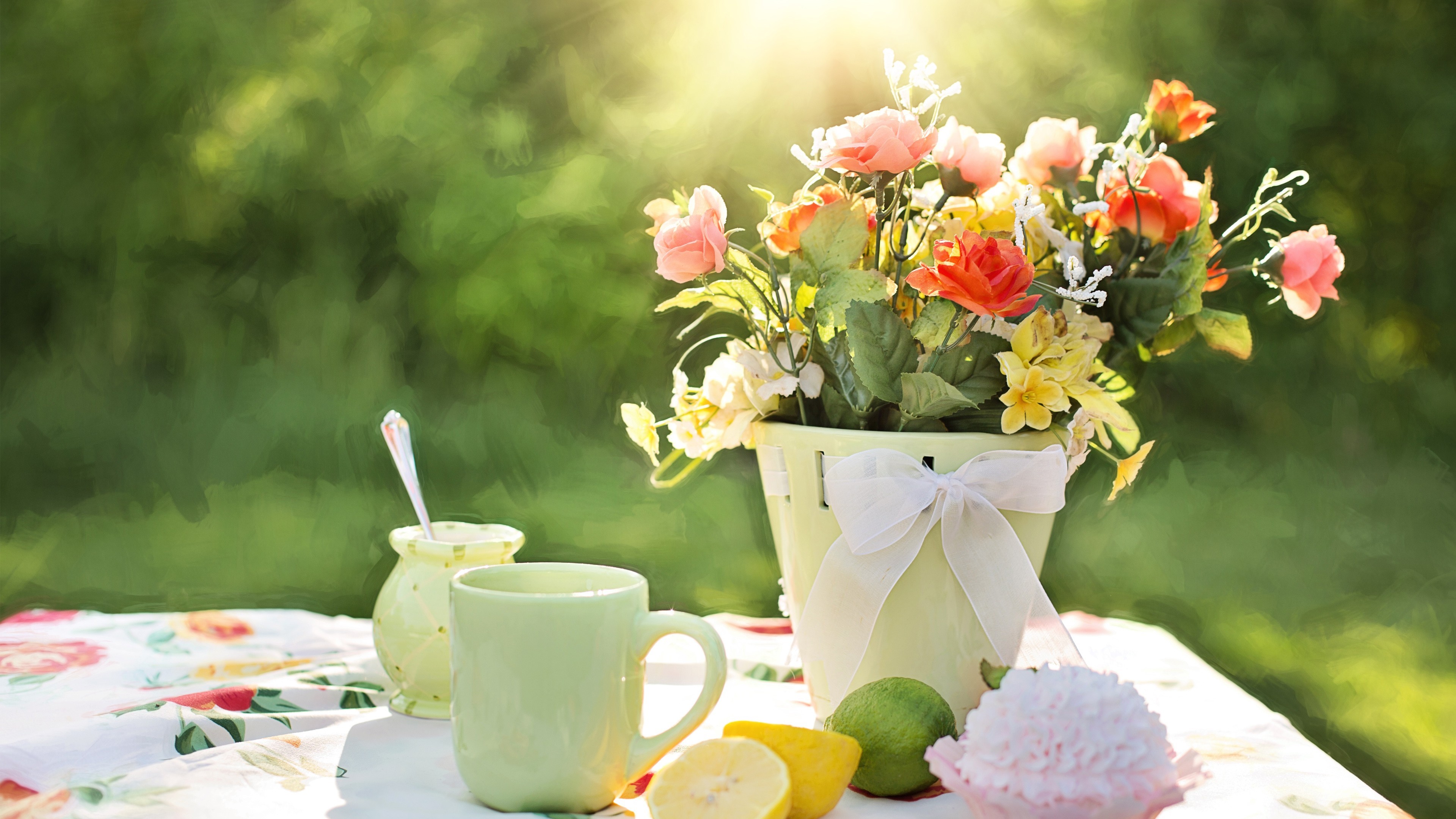 flowers, nature, HD Wallpaper