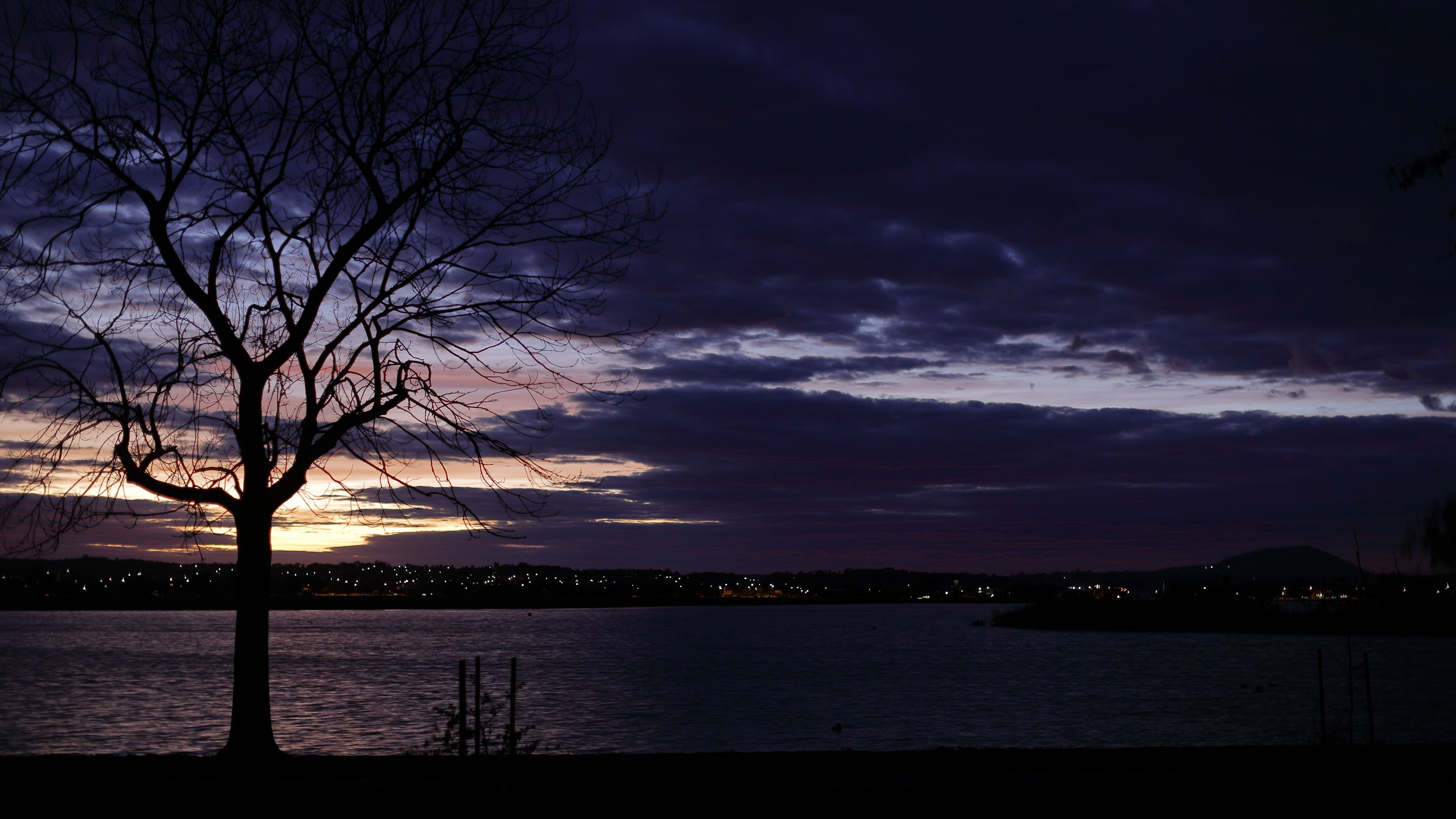 tree, silhouette, water, lights, sunset, 4k, HD Wallpaper