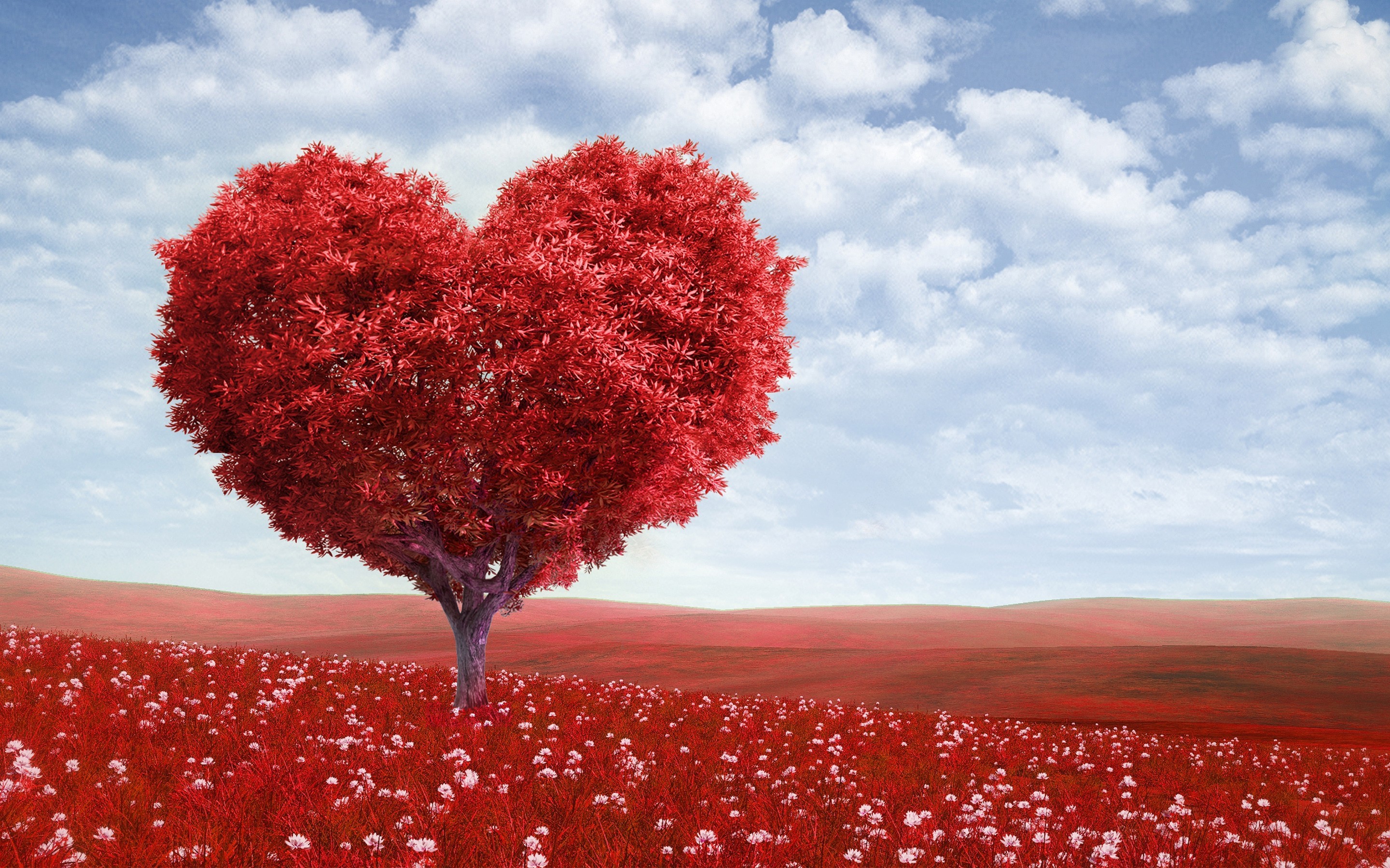 valentine day, celebrations, heart, love, HD Wallpaper