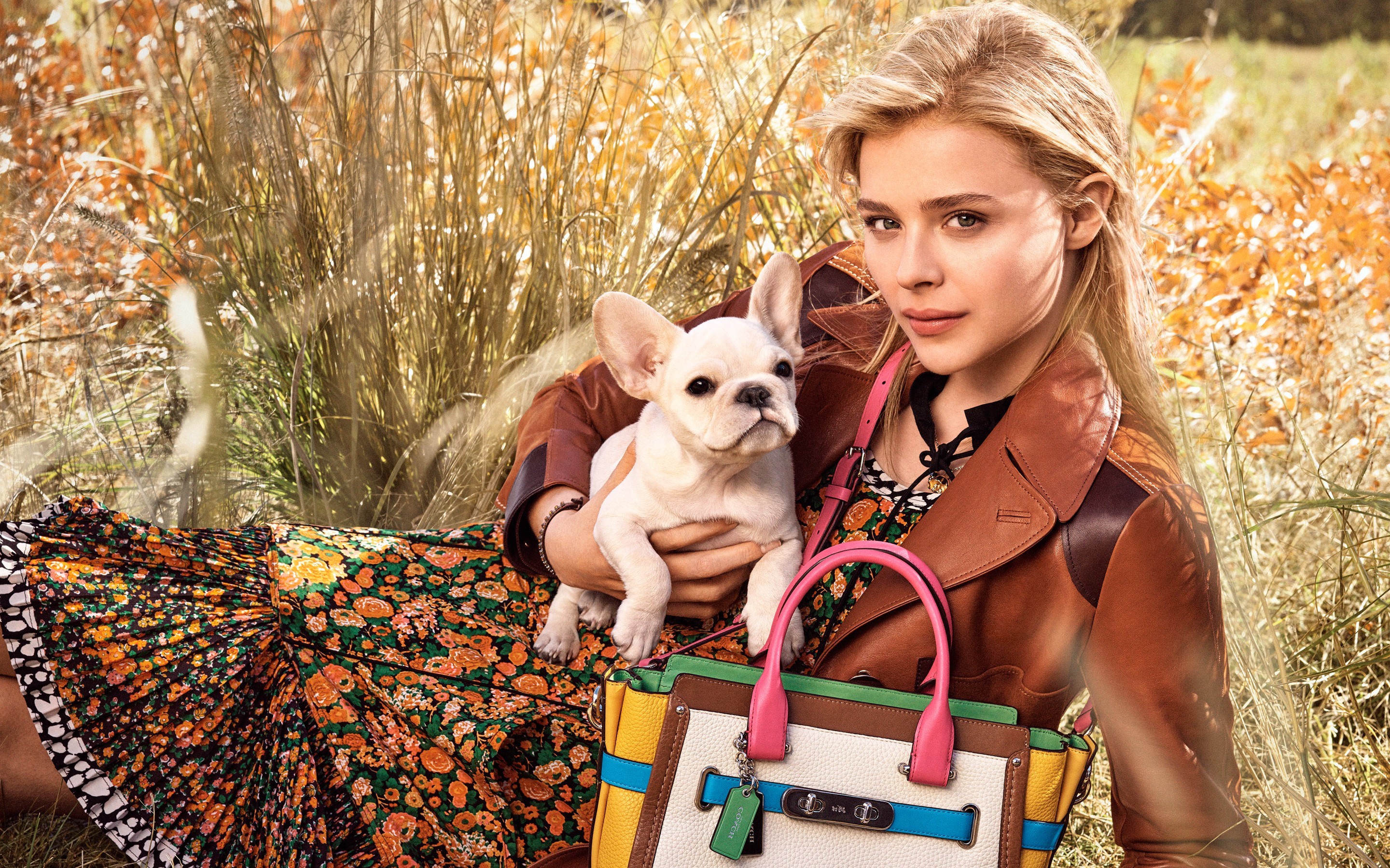 chloe moretz, celebrities, girls, HD Wallpaper