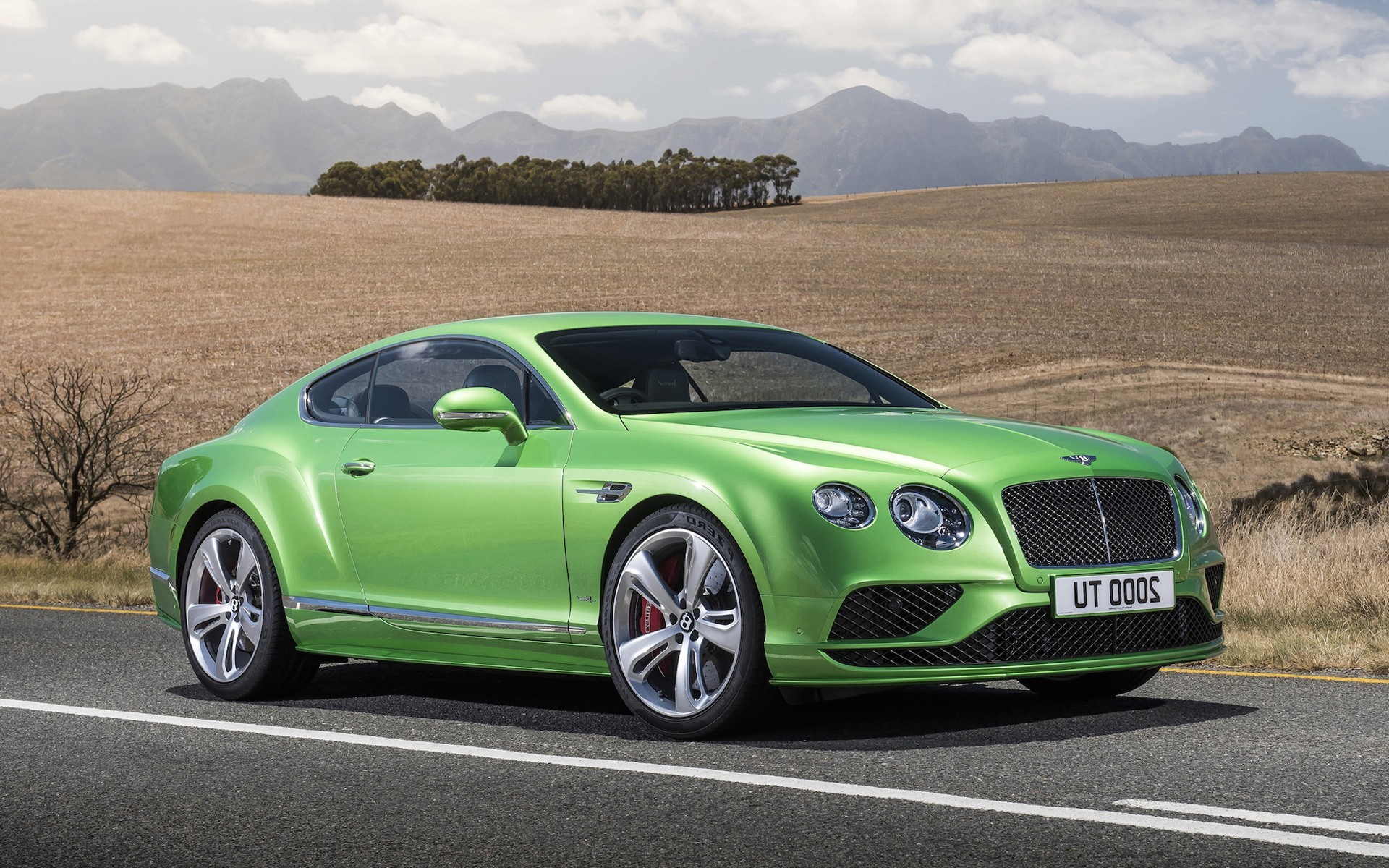 bentley, cars, HD Wallpaper