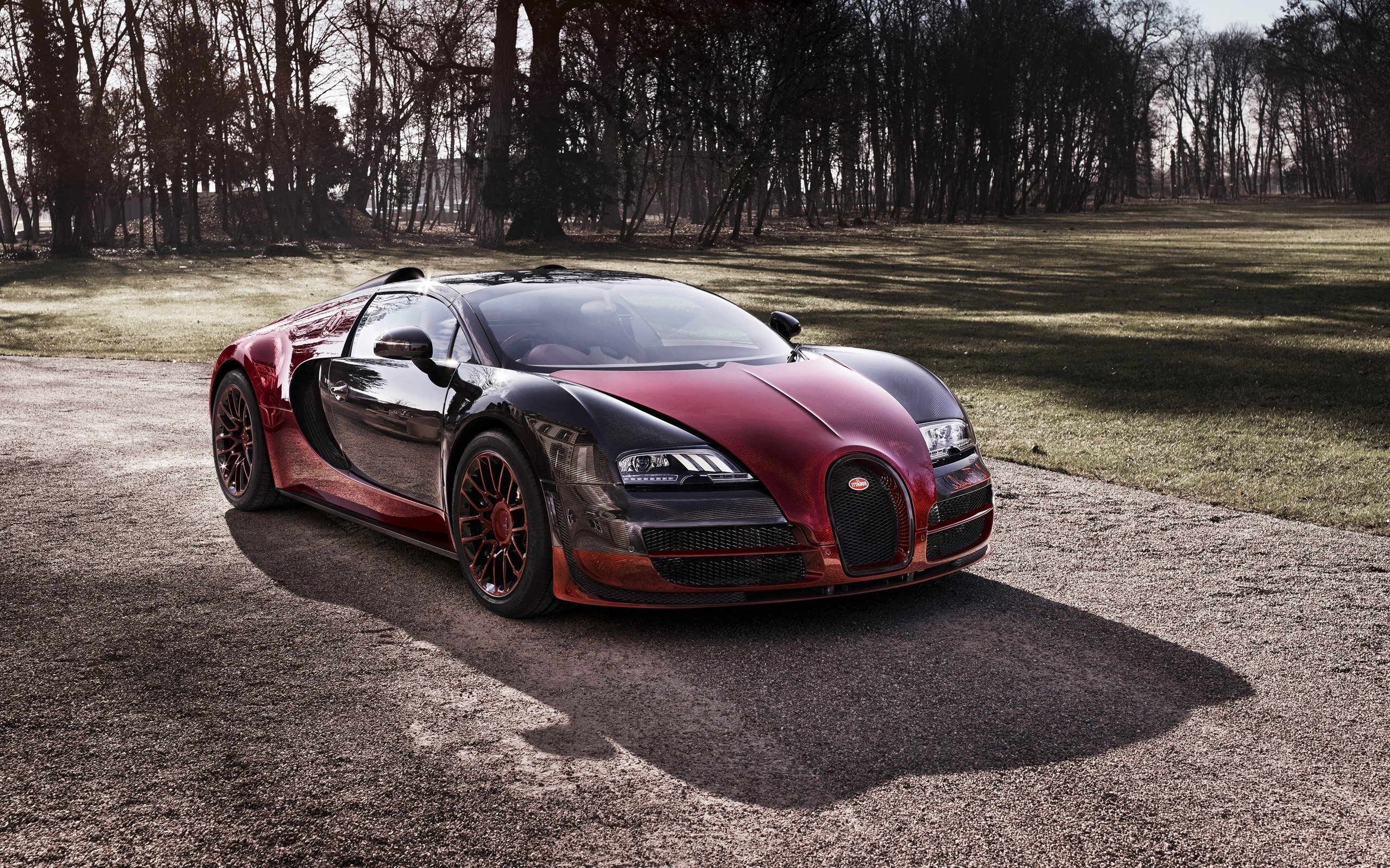 bugatti veyron, cars, HD Wallpaper