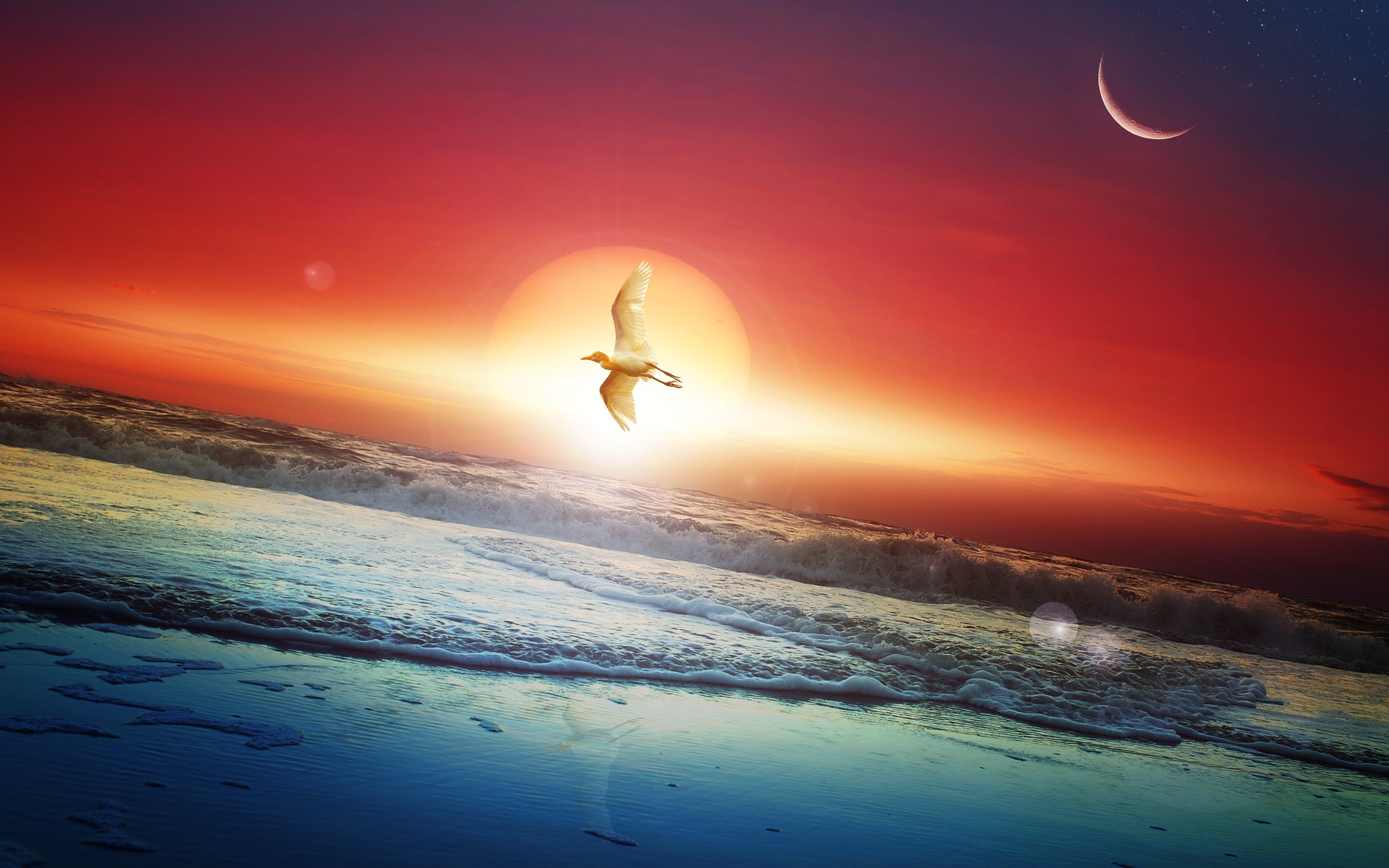 moon, sun, artist, digital art, HD Wallpaper