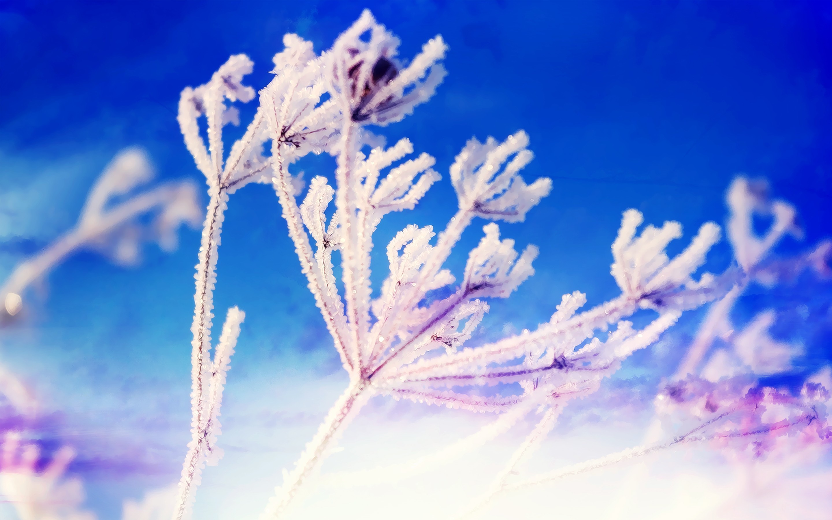 nature, winter, snow, HD Wallpaper