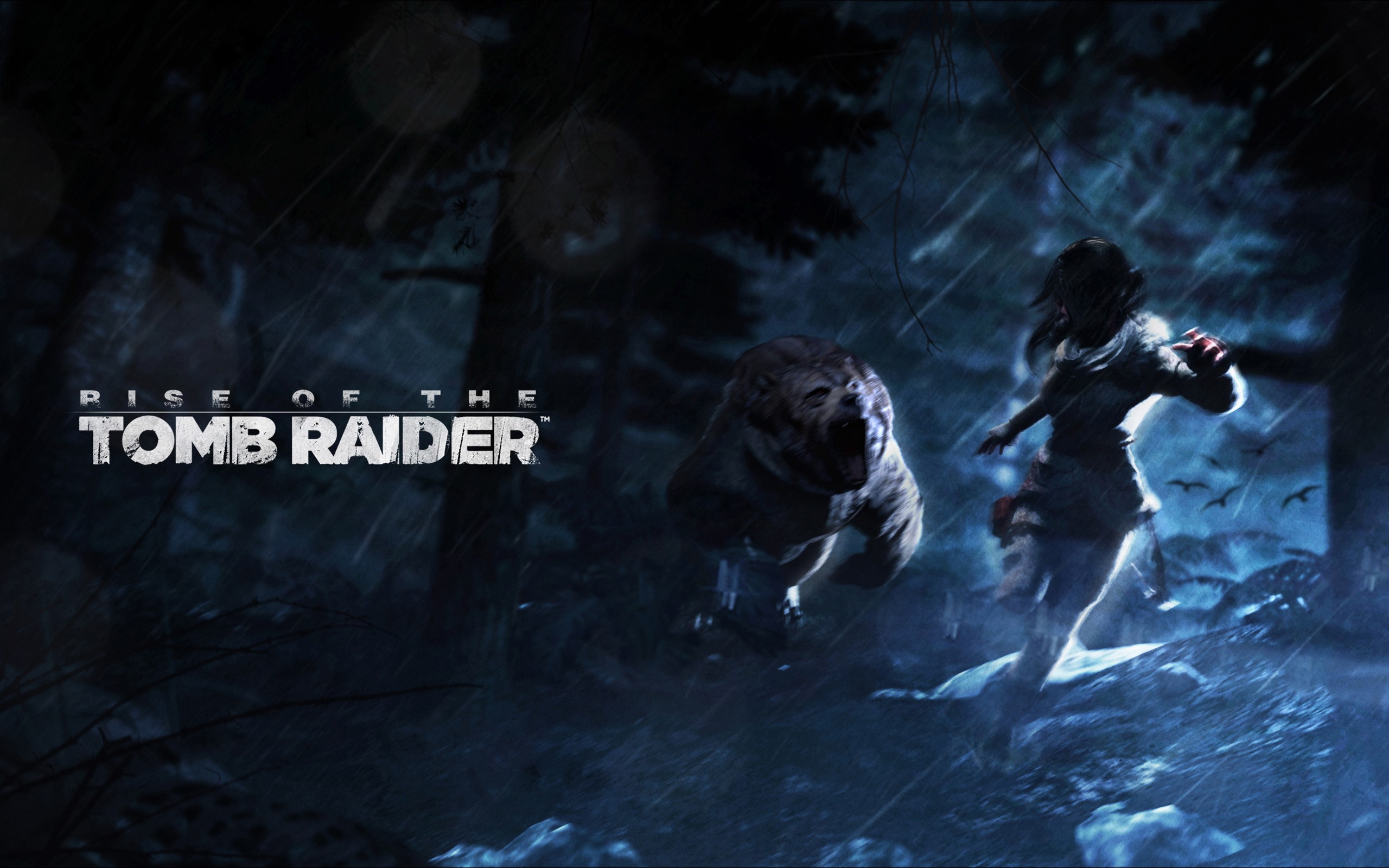 tomb raider, games, xbox games, ps games, pc games, HD Wallpaper