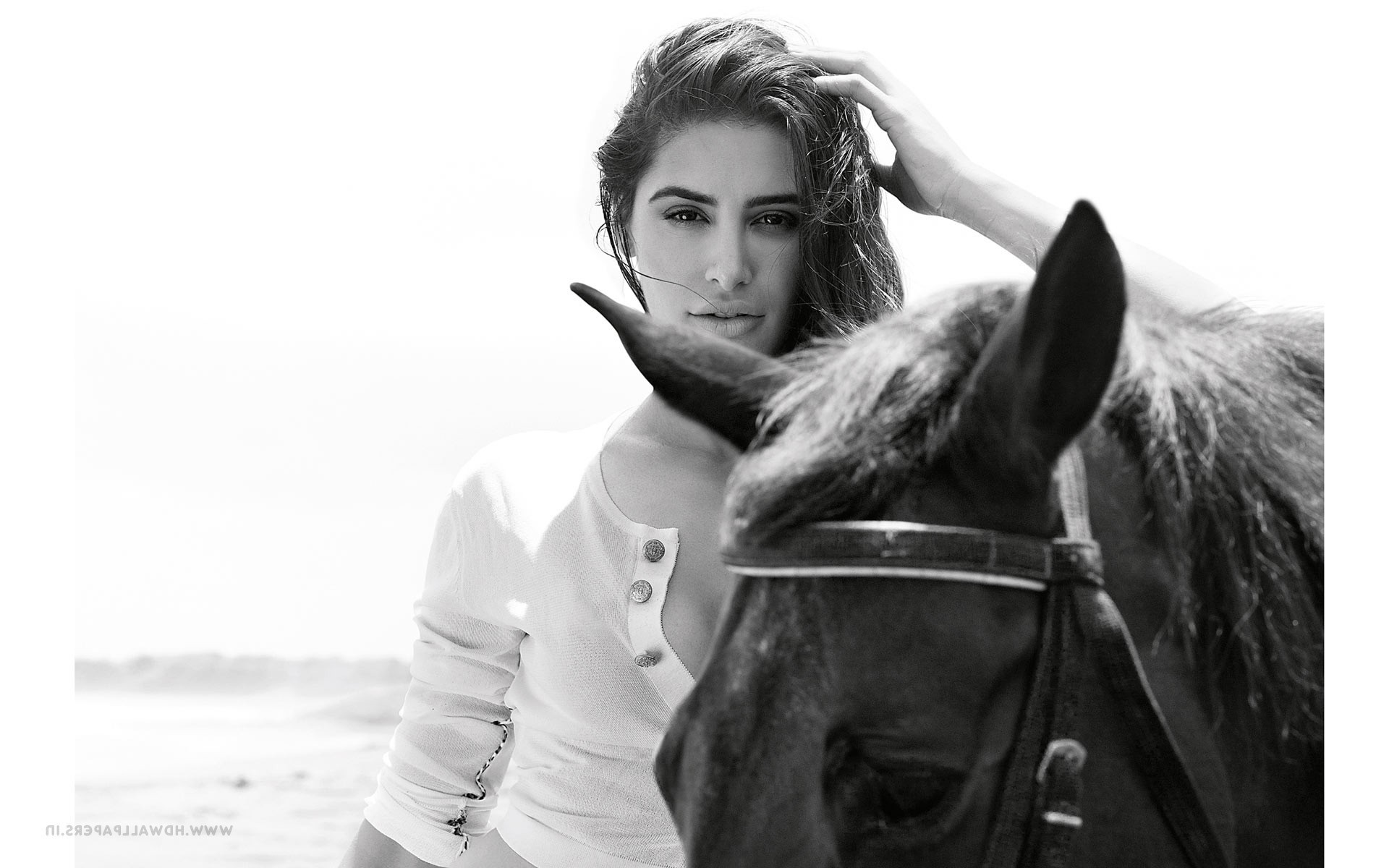 nargis fakhri, indian celebrities, girls, desi girls, HD Wallpaper