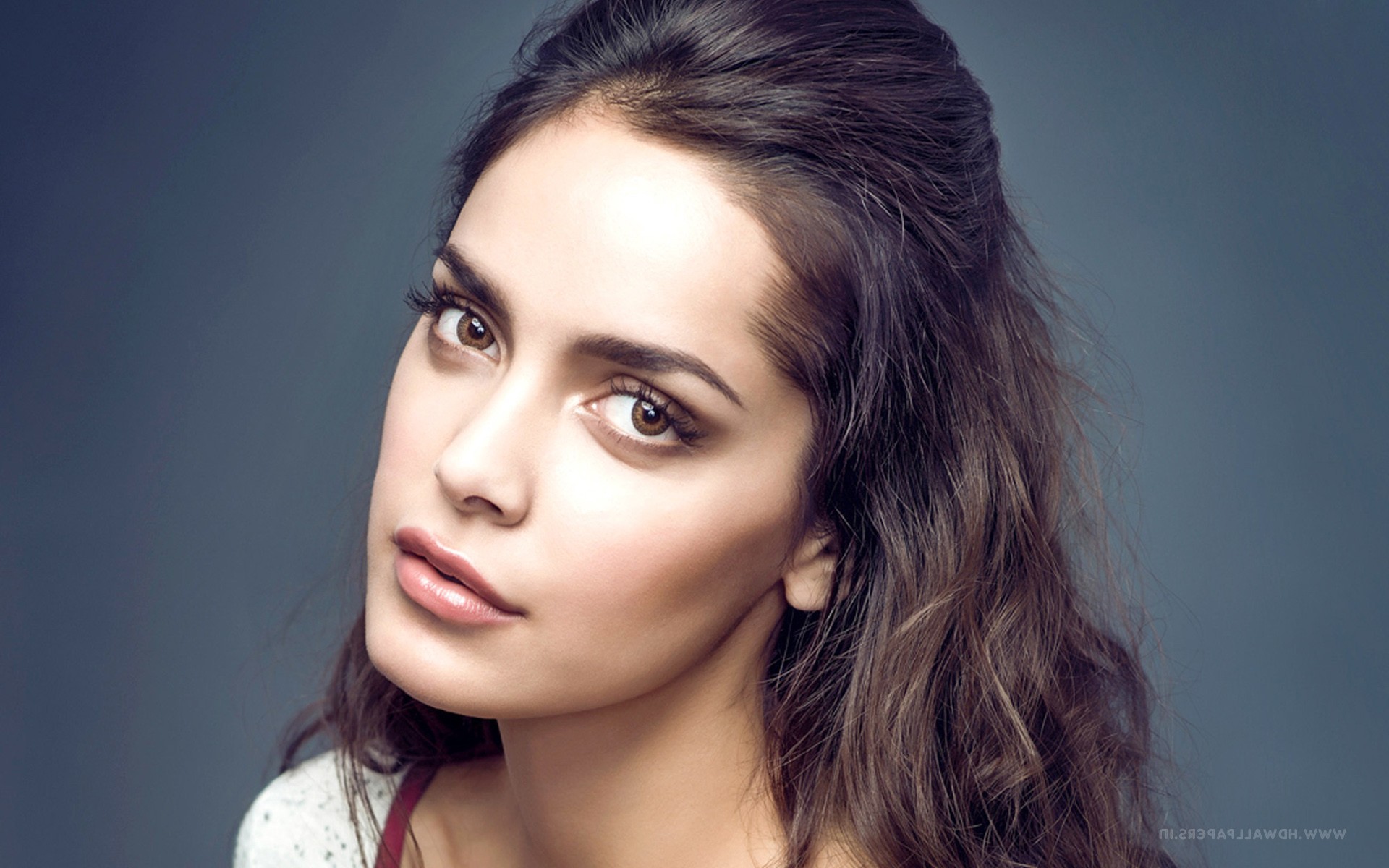 shazahn padamsee, indian celebrities, girls, desi girls, HD Wallpaper