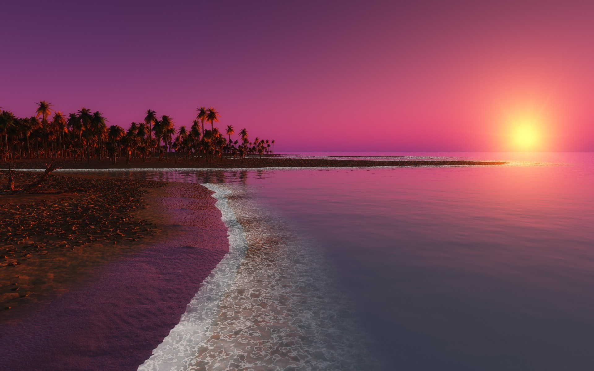 beach, sunset, nature, HD Wallpaper