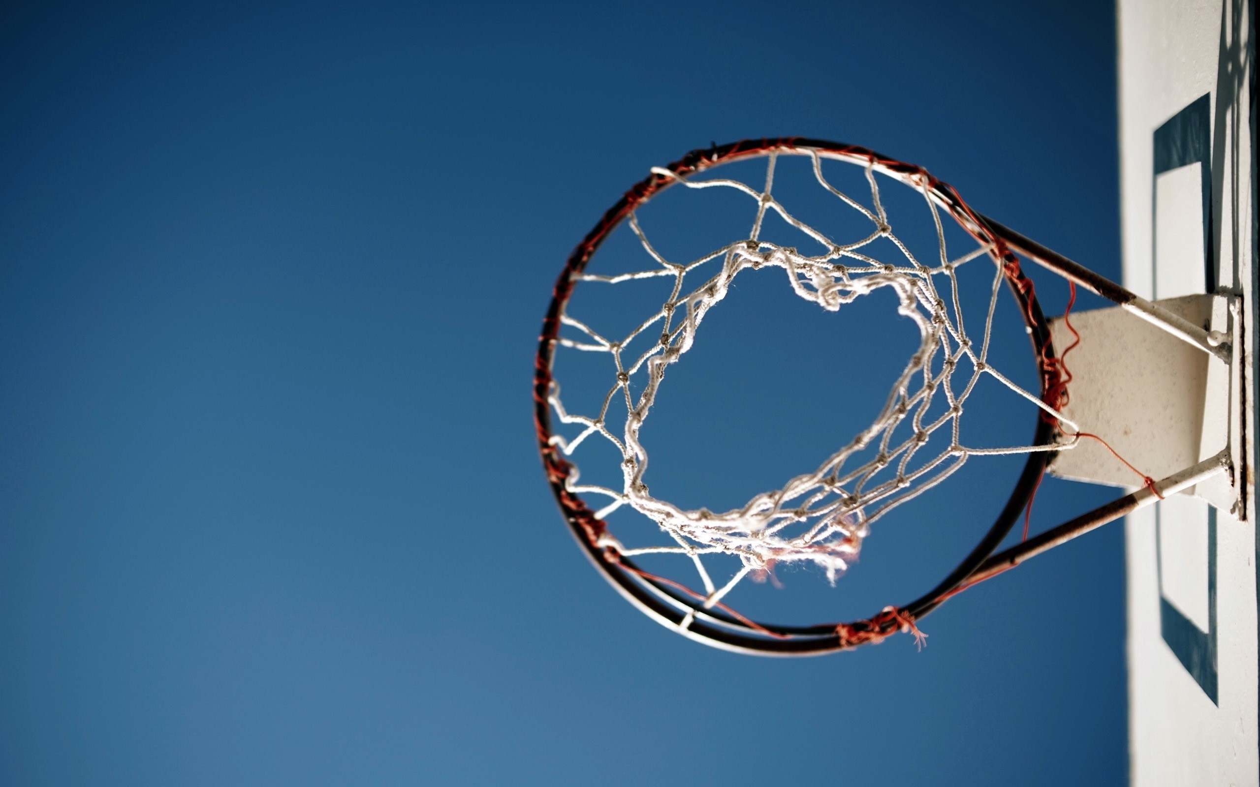basketball, sports, HD Wallpaper