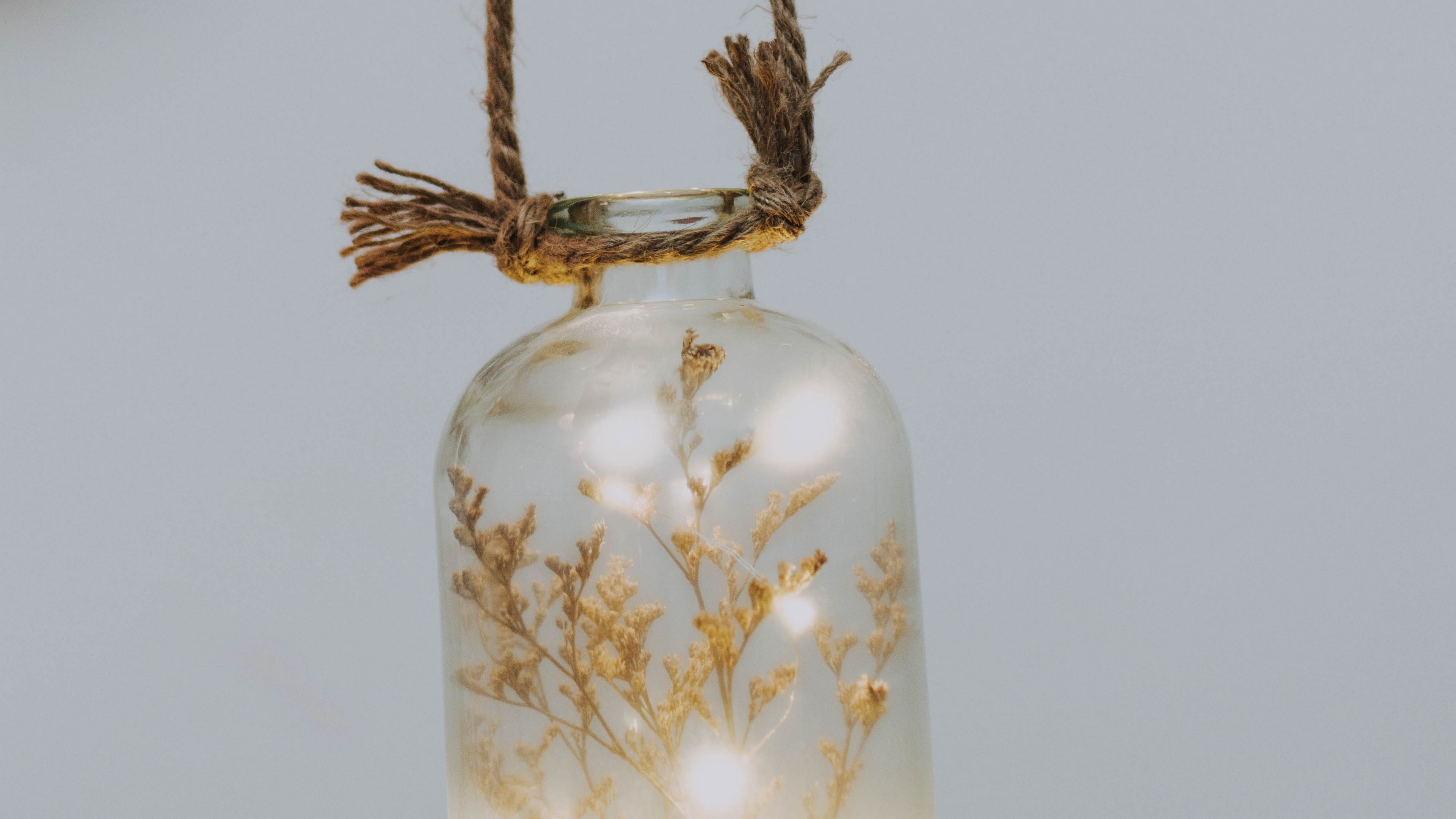 bottle, branch, garland, decoration, 4k, HD Wallpaper