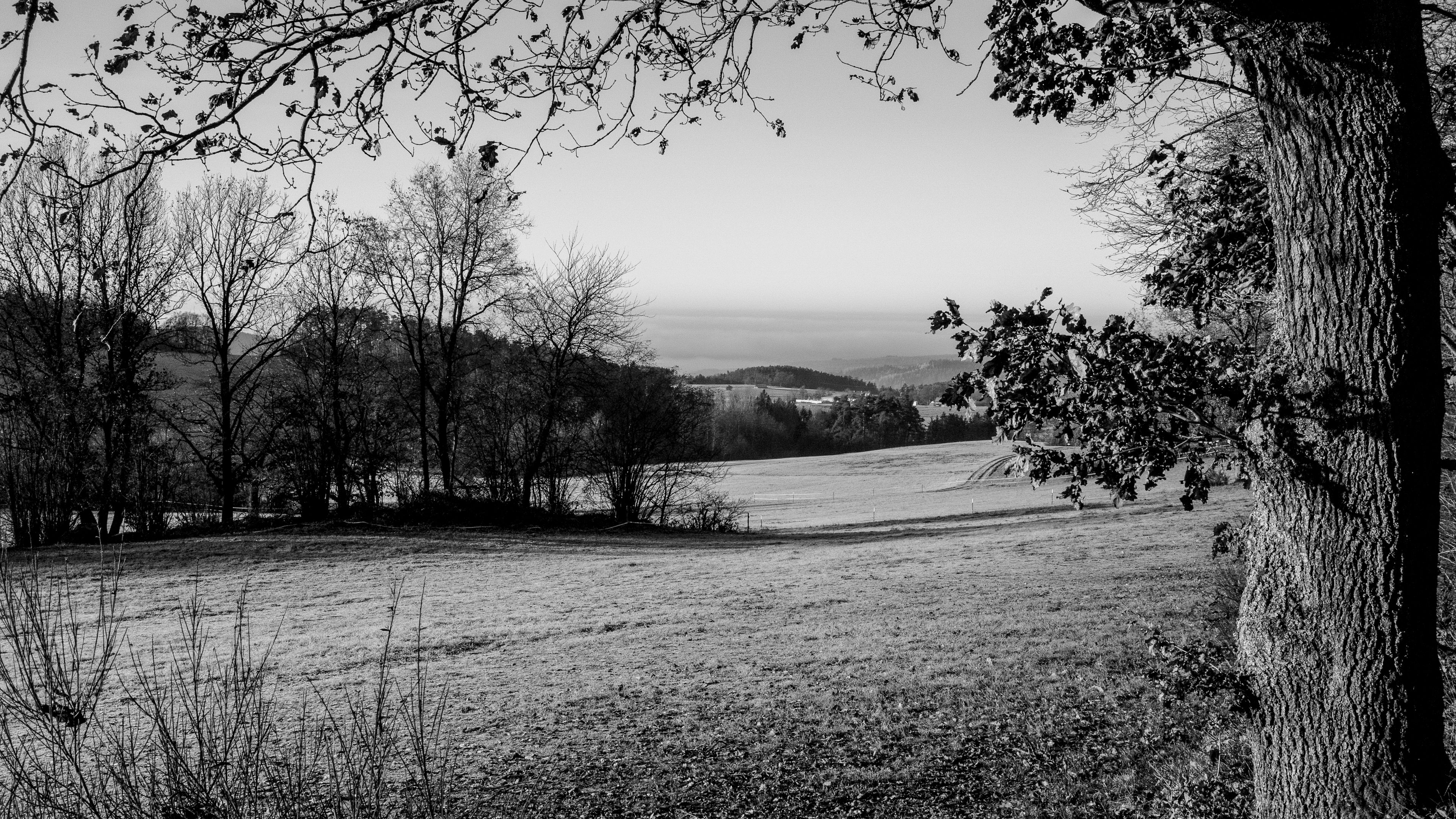 lawn, landscape, bw, hills, trees, 4k, HD Wallpaper
