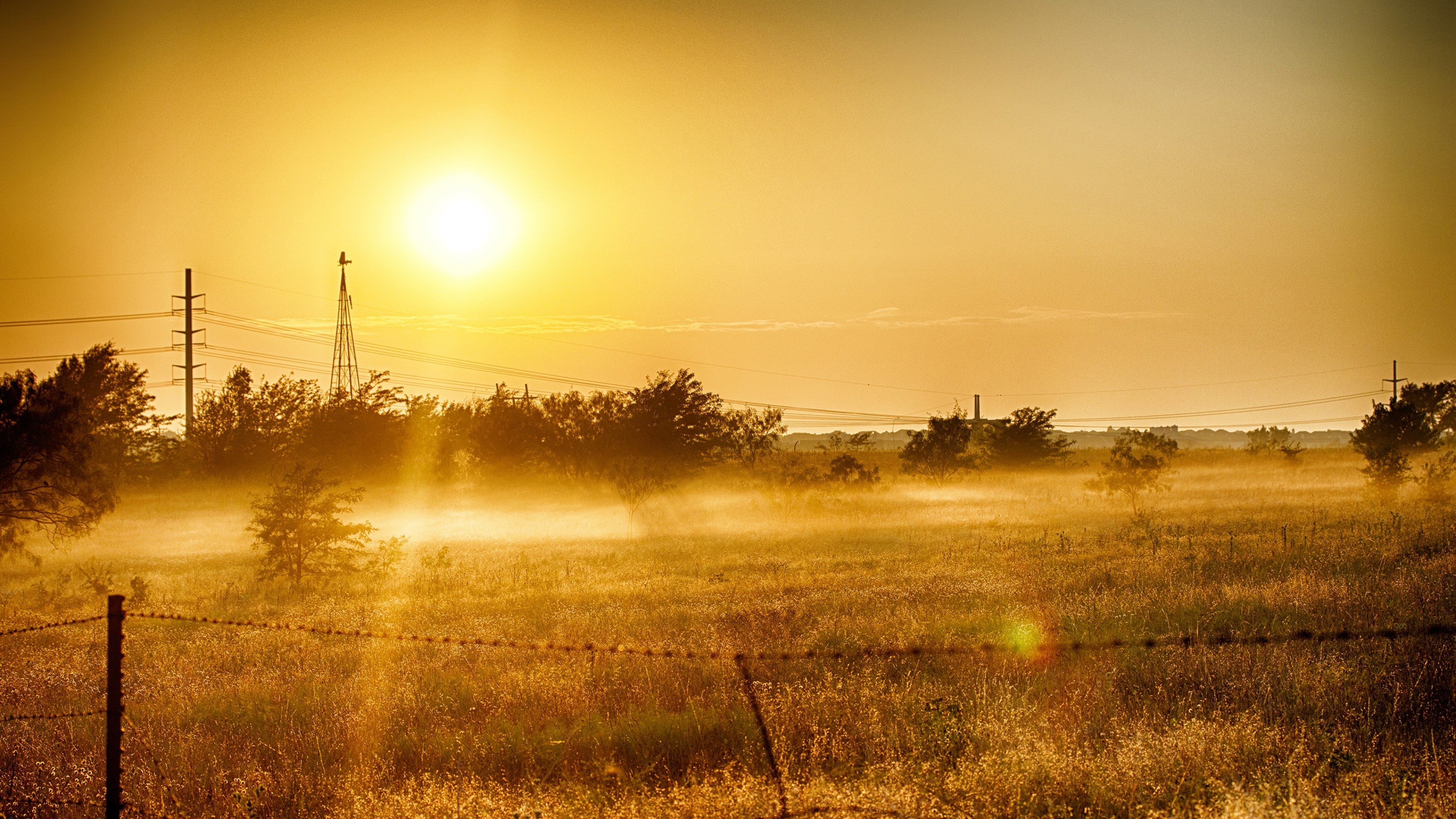 grass, summer, light, nature, dawn, HD Wallpaper