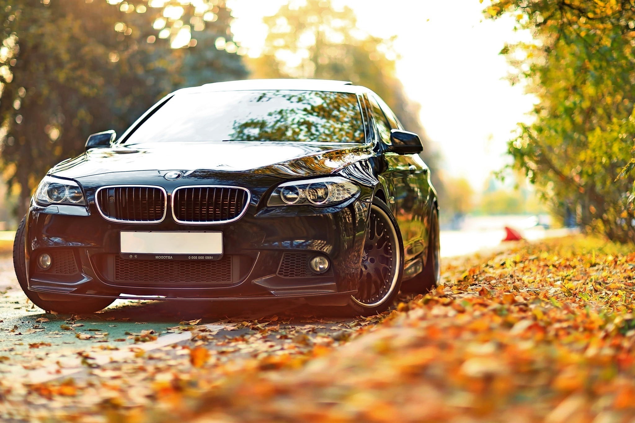 bmw, black, cars, HD Wallpaper