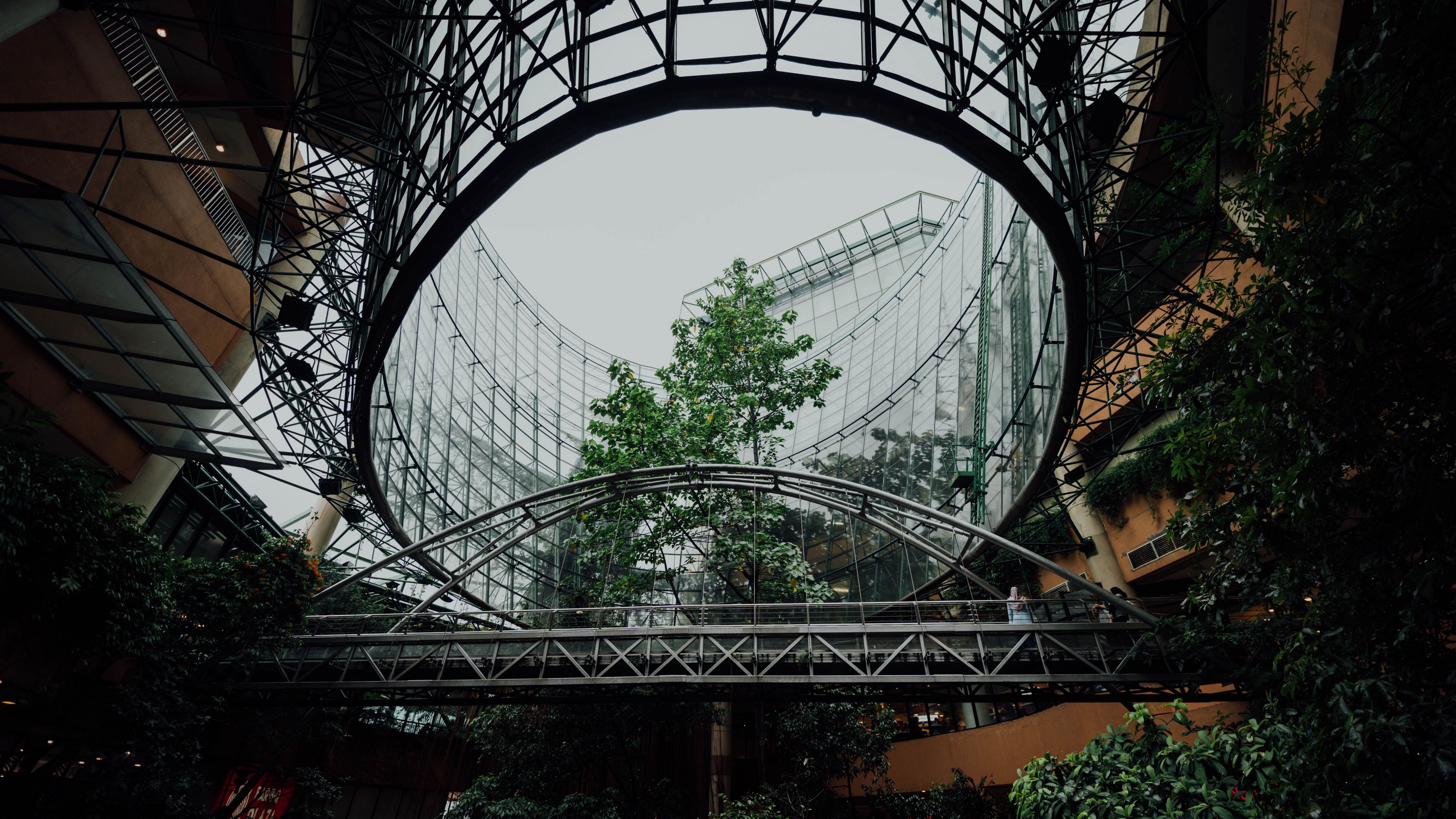building, bridge, trees, architecture, modern, 4k, HD Wallpaper